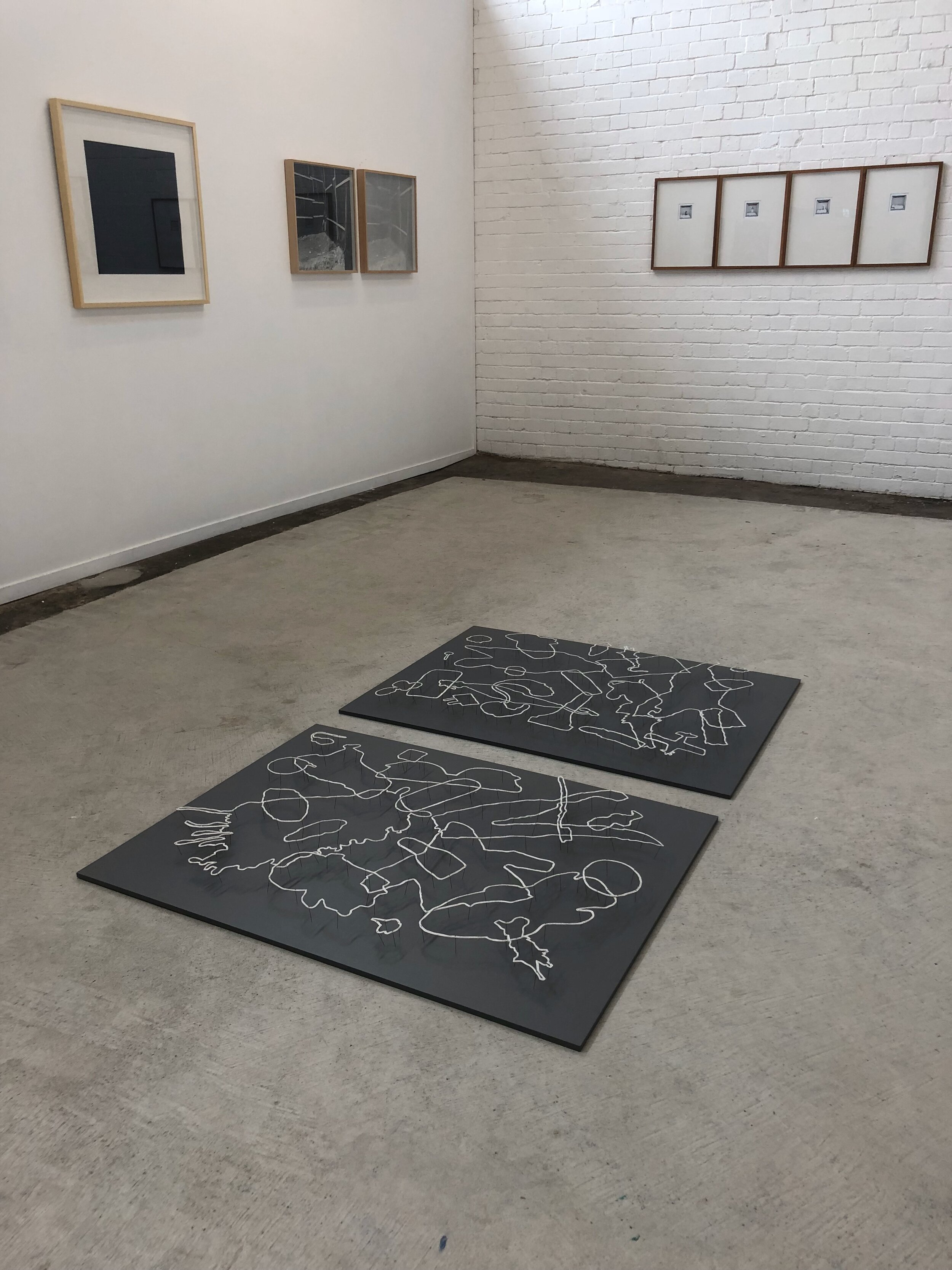 Niomi Sands, catalogue of the lost, 2018, cotton, Arches paper and entomology pins. (installation view, BAS Project Space) Courtesy of the artist.