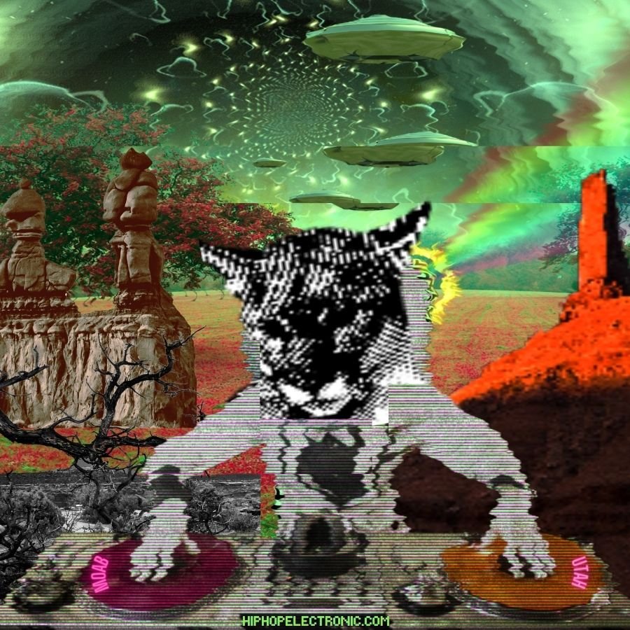 Desert Dj.jpeg