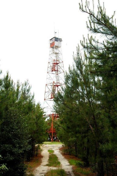 Lebanon tower-
Brendan Byrne State Forest, Burlington County, New Jersey