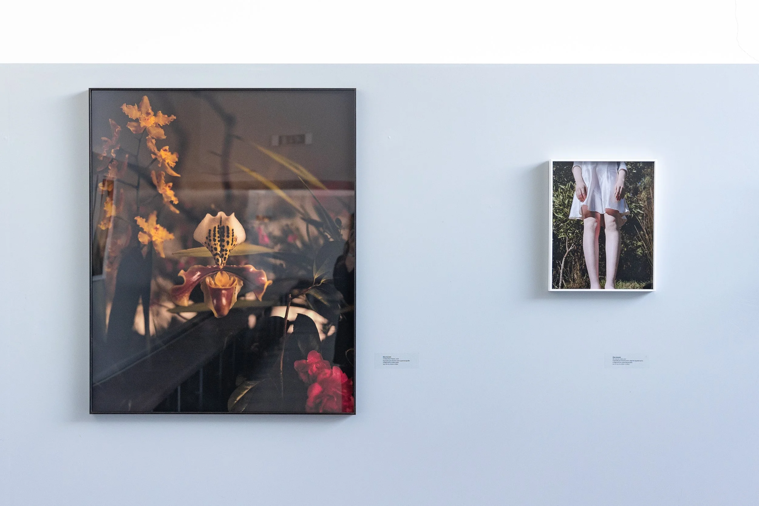 Curarte: Health in Progress