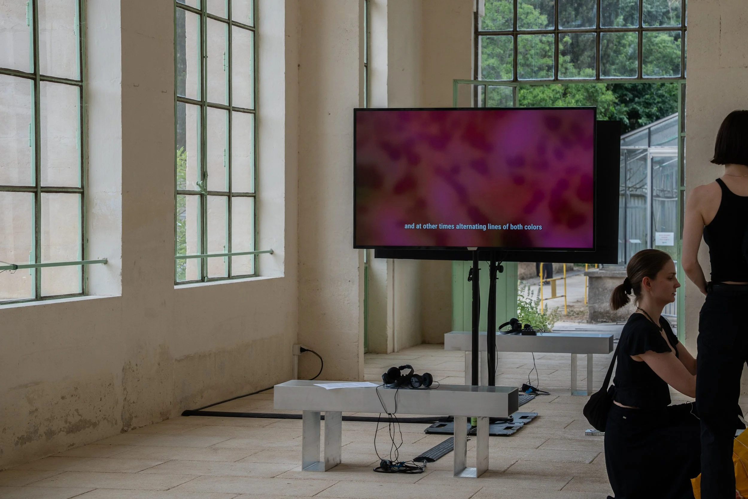 Undiscipline Ethnobotany_Orangerie 02.06.26-11.jpg