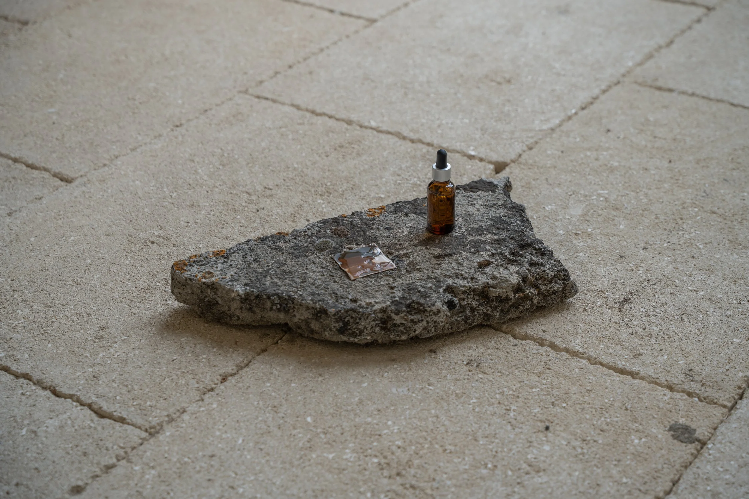 Undiscipline Ethnobotany_Orangerie 02.06.26-13.jpg