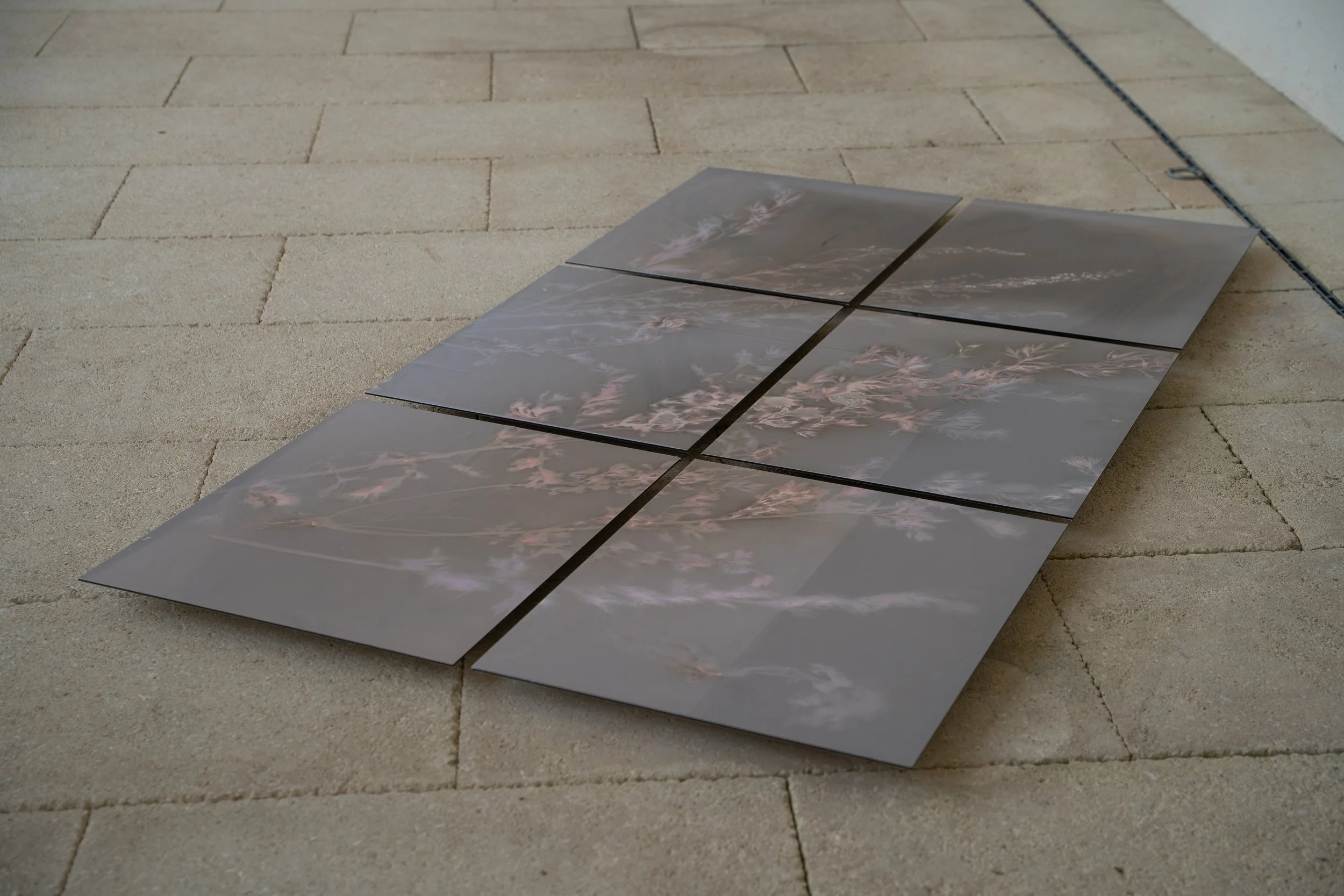 Undiscipline Ethnobotany_Orangerie 02.06.26-17.jpg