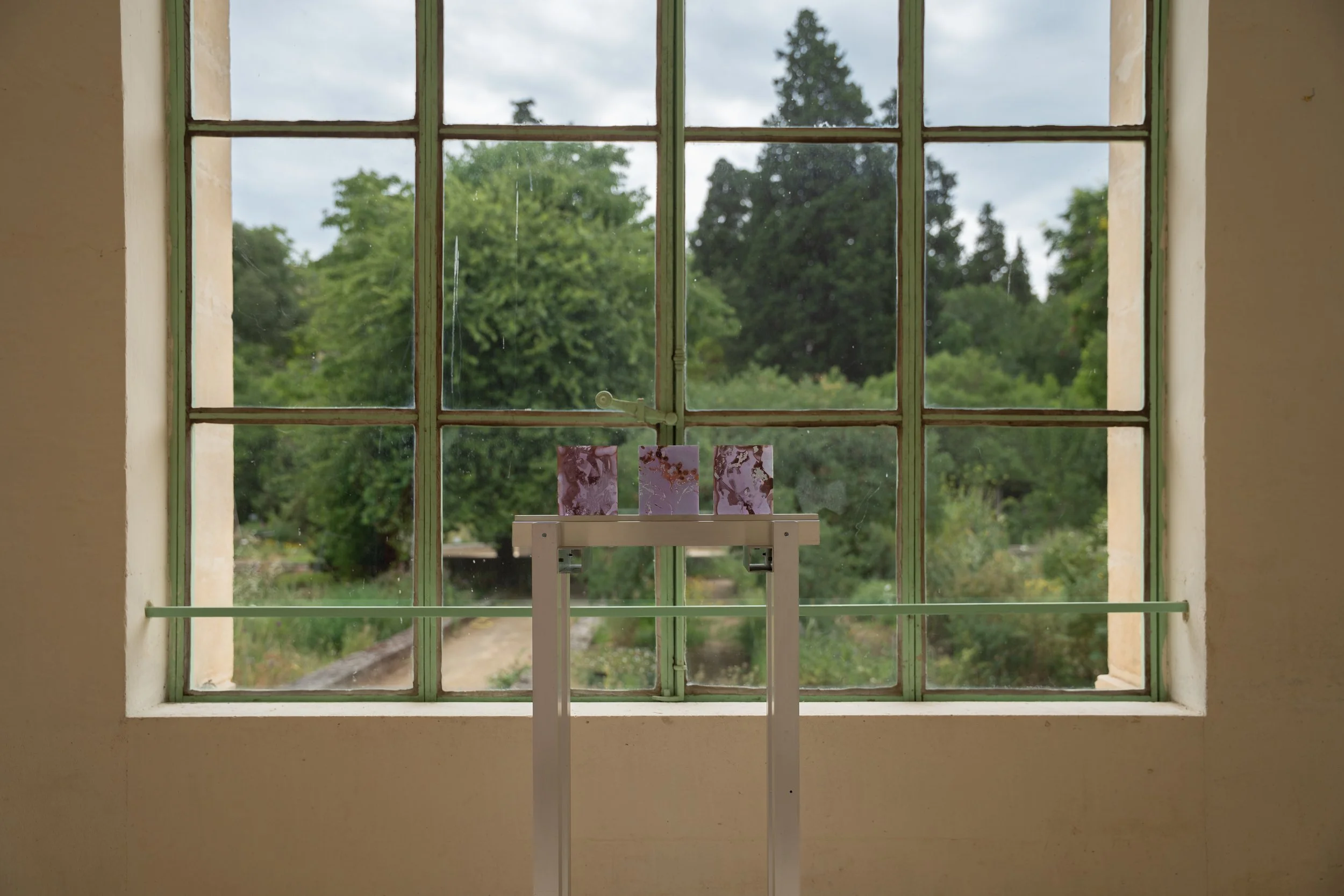 Undiscipline Ethnobotany_Orangerie 02.06.26-20.jpg