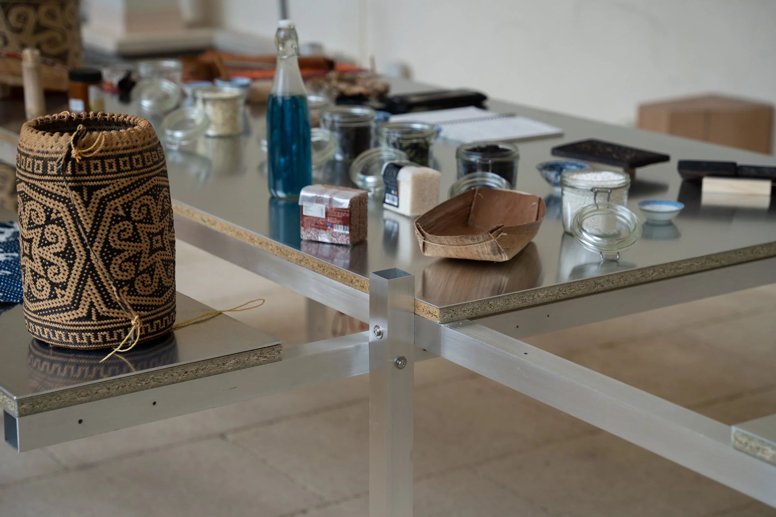Undiscipline Ethnobotany_Orangerie 02.06.26-21.jpg