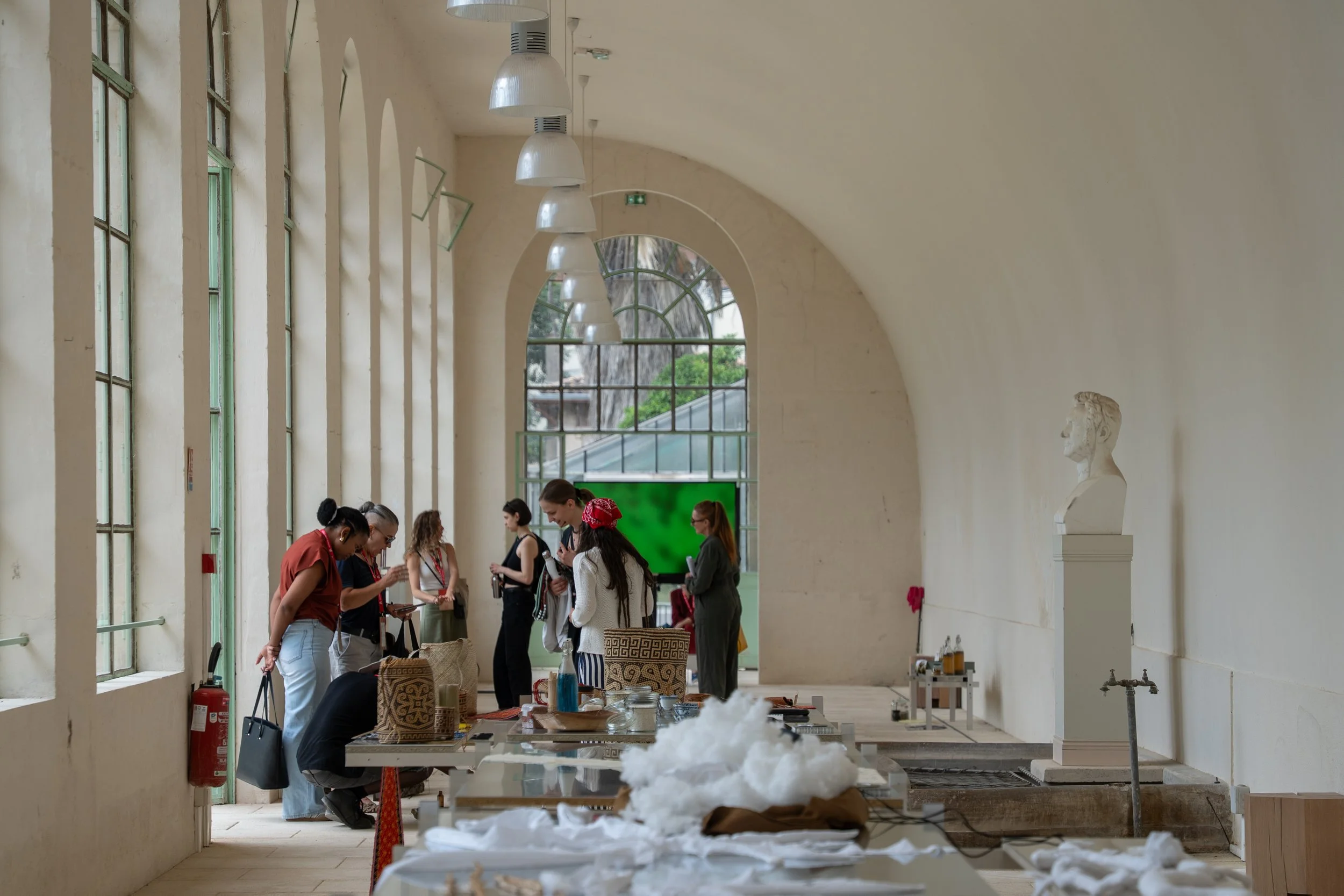 Undiscipline Ethnobotany_Orangerie 02.06.26-23.jpg