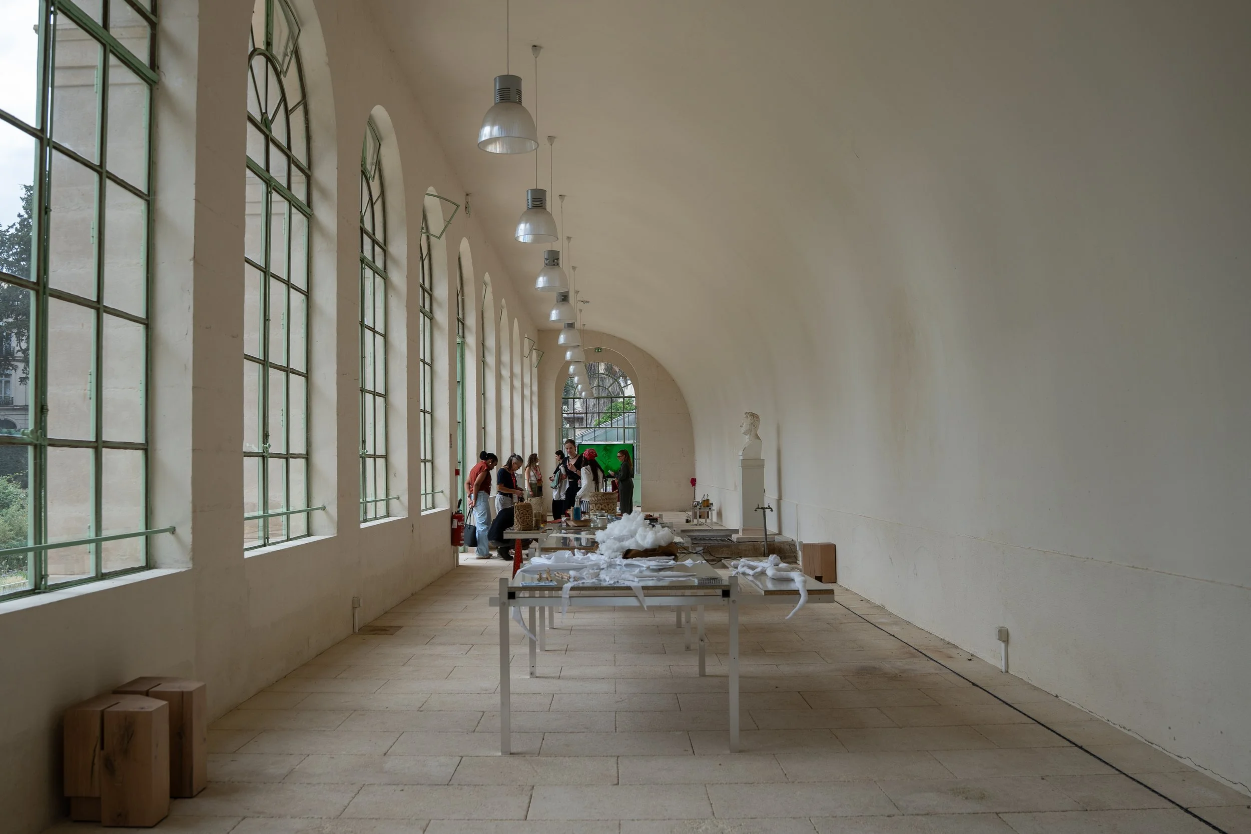 Undiscipline Ethnobotany_Orangerie 02.06.26-24.jpg