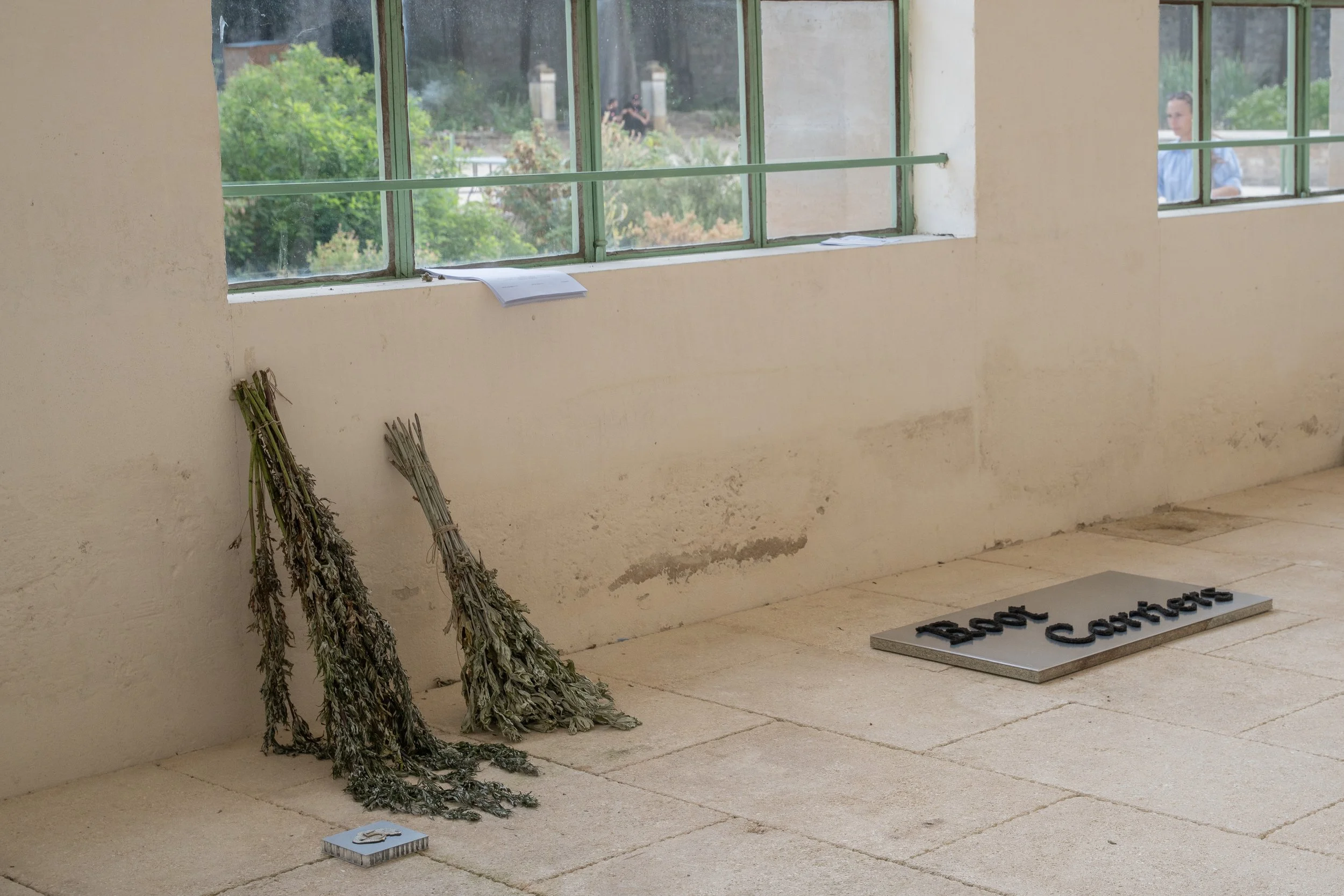 Undisciplined Ethnobotany