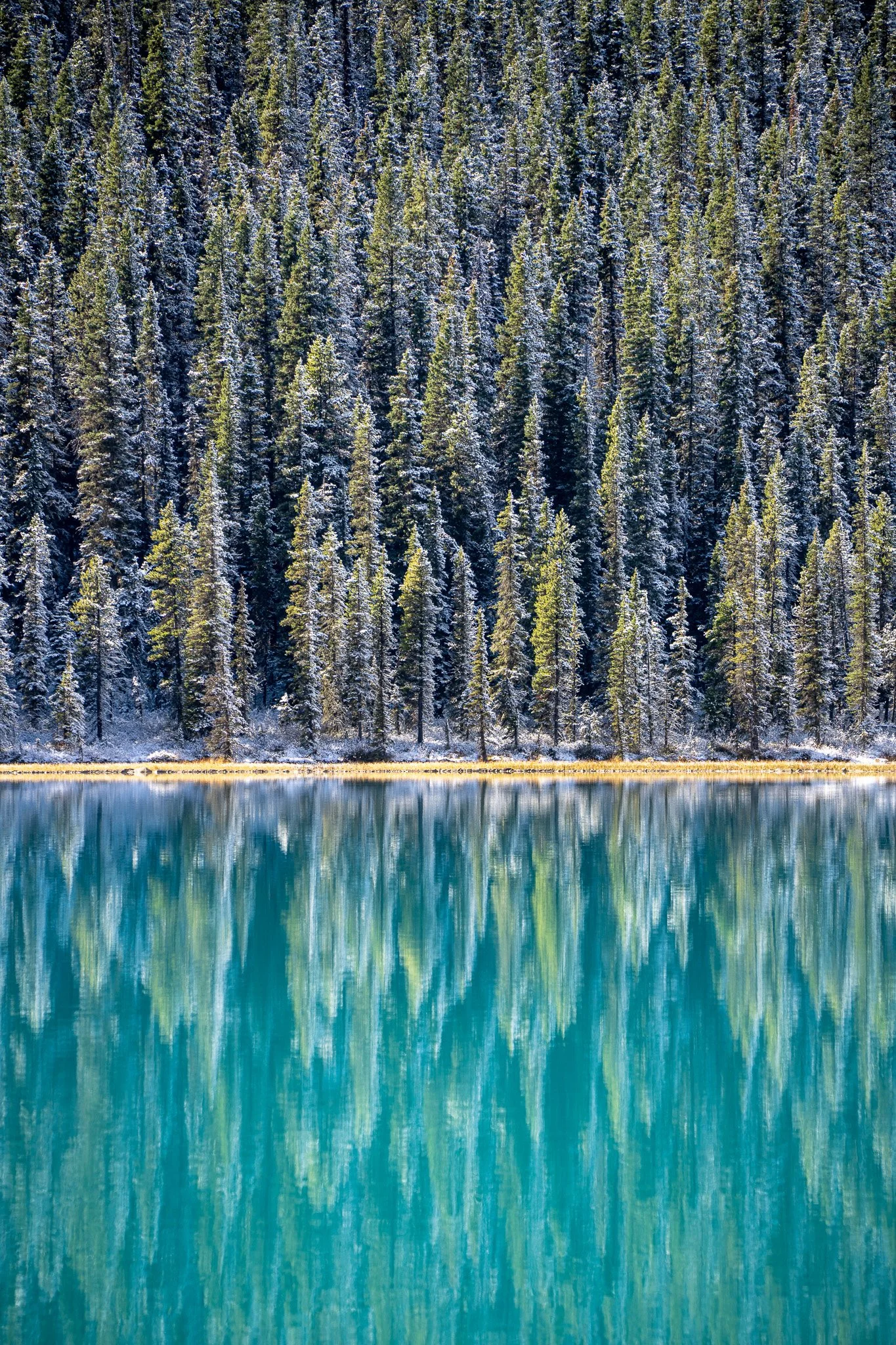 Waterfowl Lakes - Banff National Park