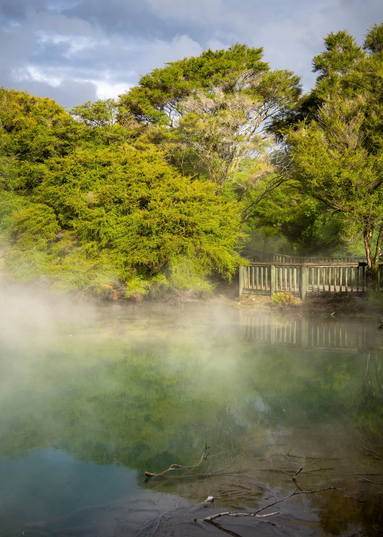Rotorua - Kuirau Lake