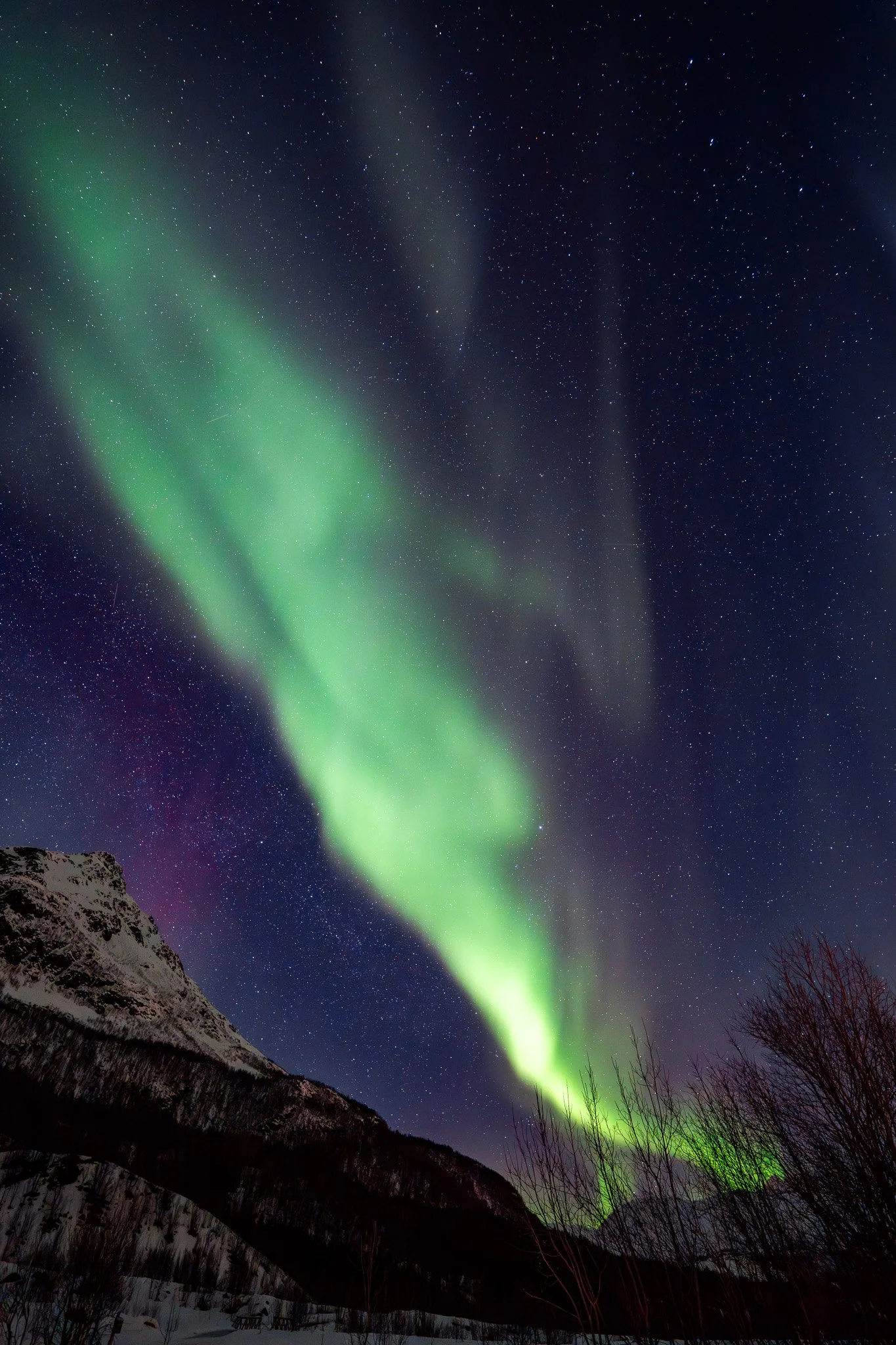 Tromsø - Northern Lights