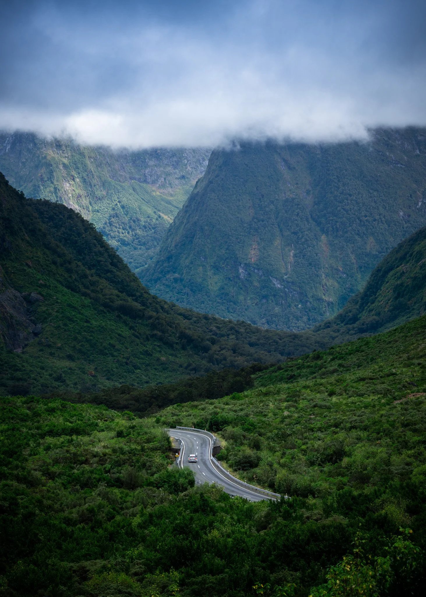 Fiordland National Park - Milford Sound Highway