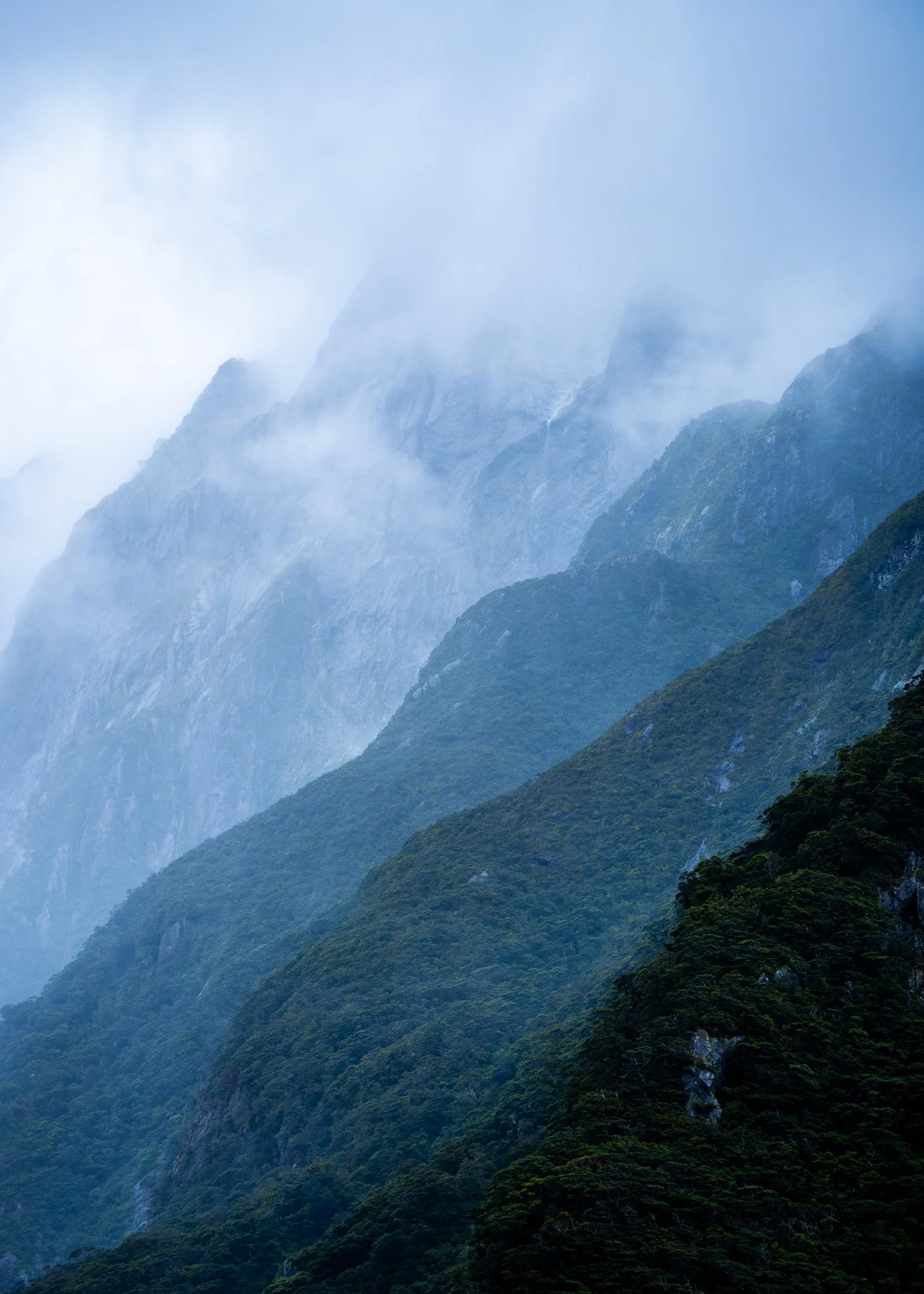 Fiordland National Park - Milford Sound
