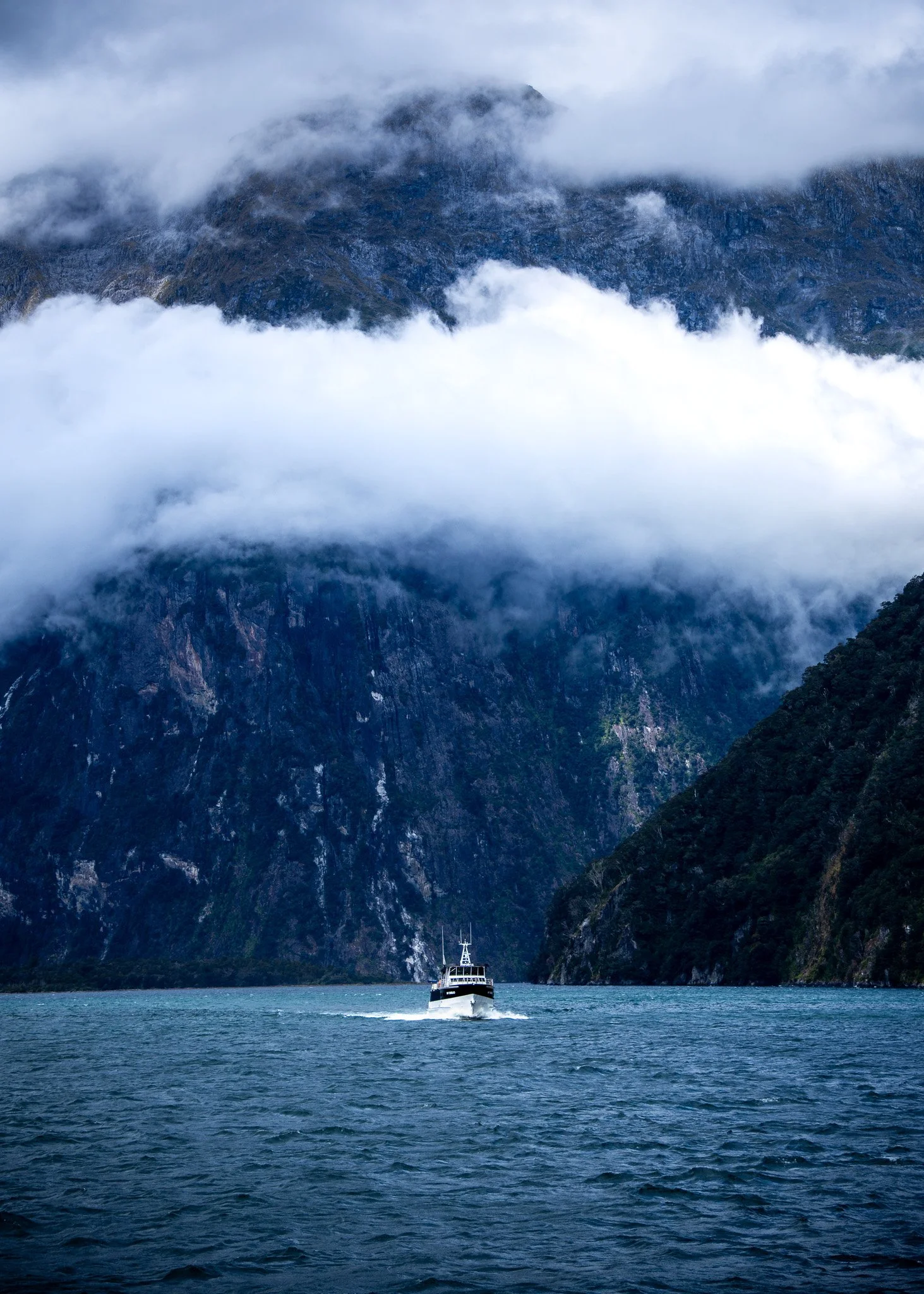 Fiordland National Park - Milford Sound