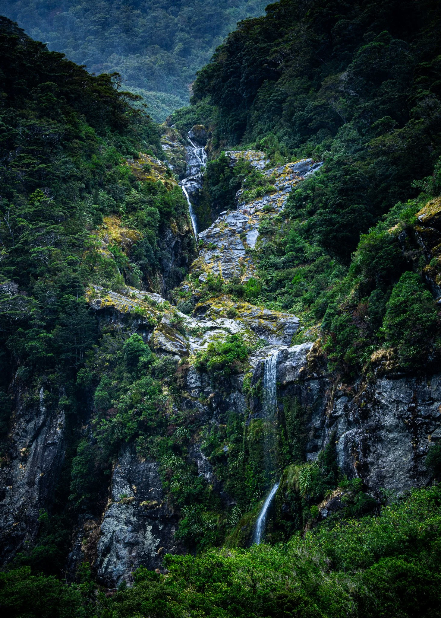 Fiordland National Park - Milford Sound