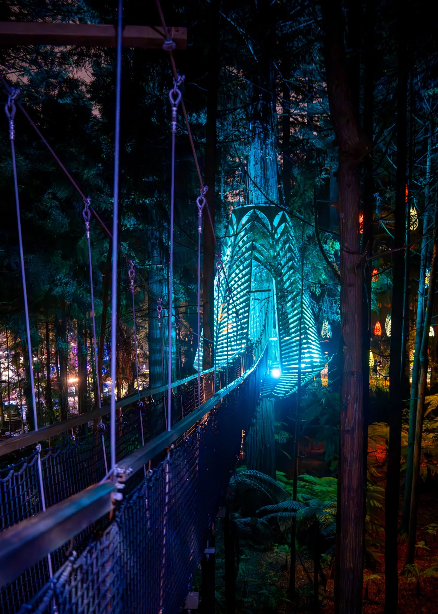 Rotorua - Redwoods Treewalk