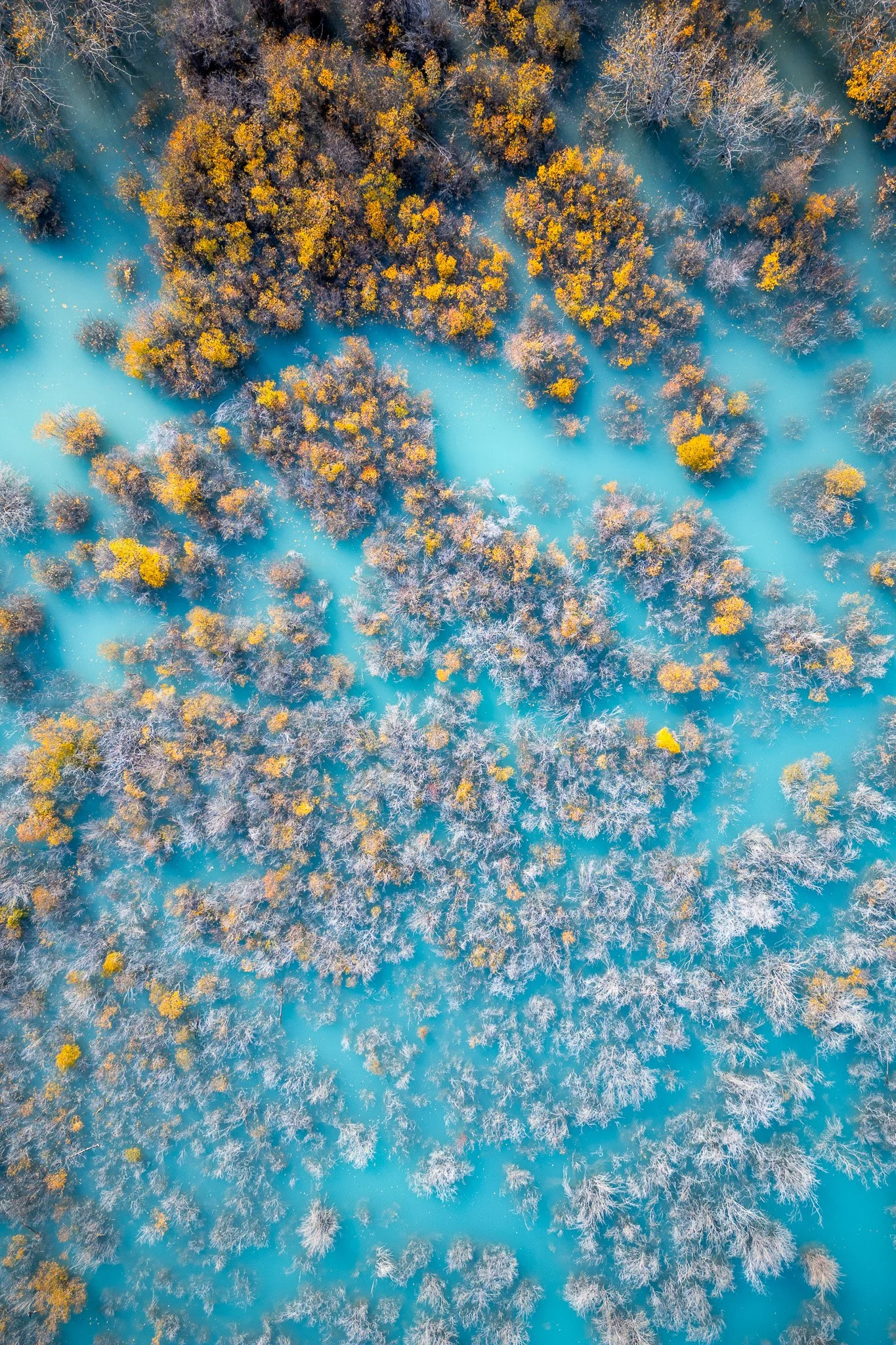 Abraham Lake