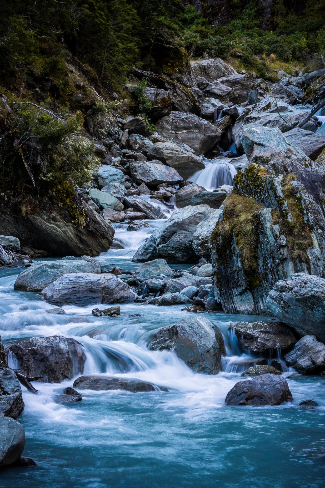 Mount Aspiring National Park - Rob Roy Glacier Track
