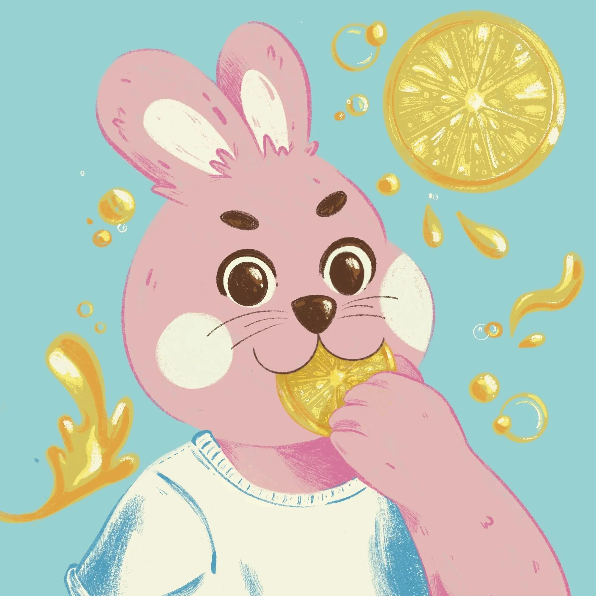 Animal Concert Inspired Postcard Series