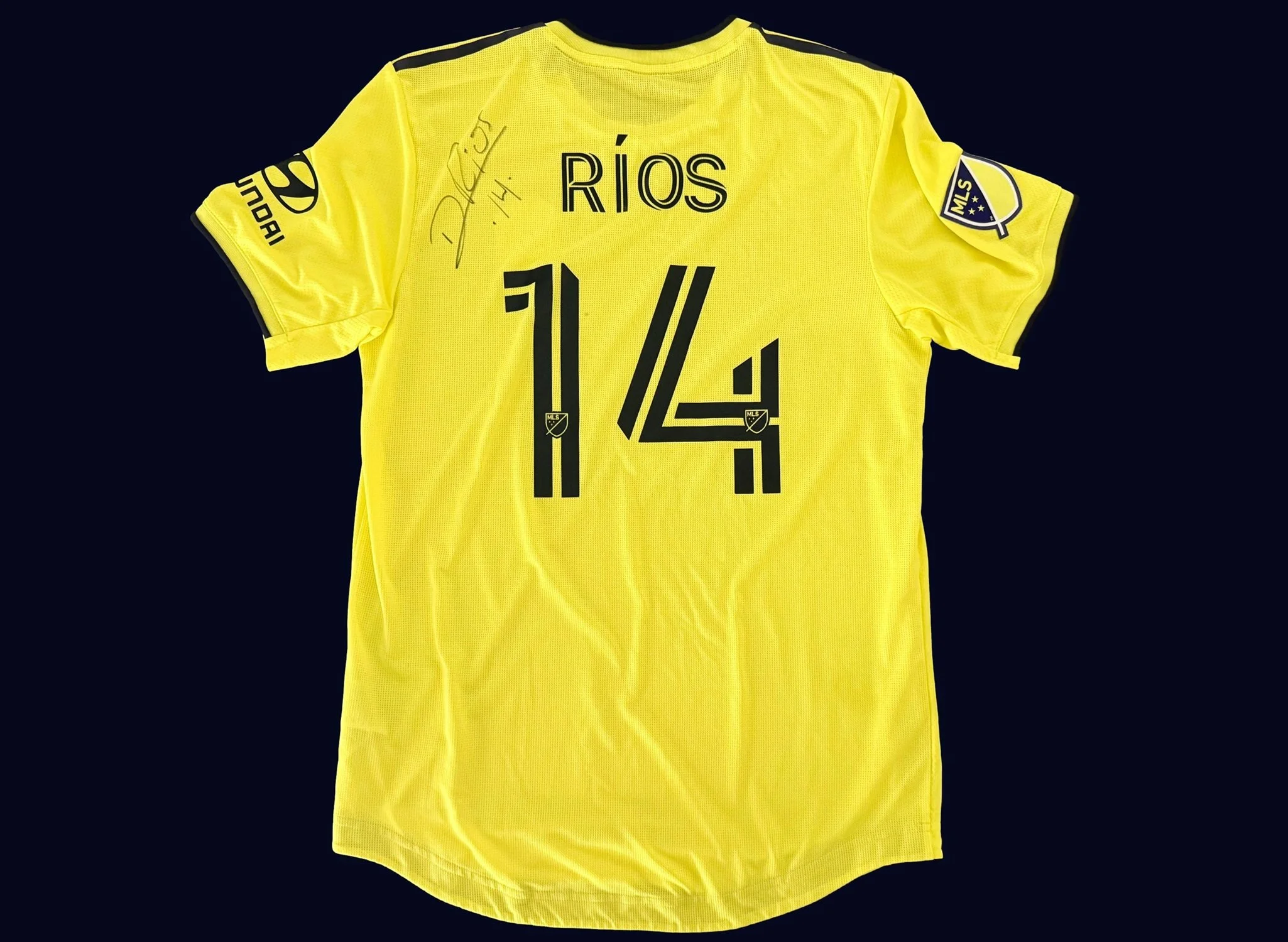 Daniel Ríos 2020 Primary