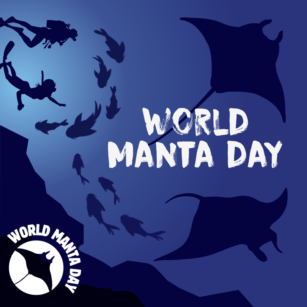 World Manta Day