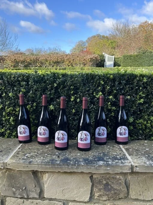 Half Case of Noir 2023, 6 Bottles