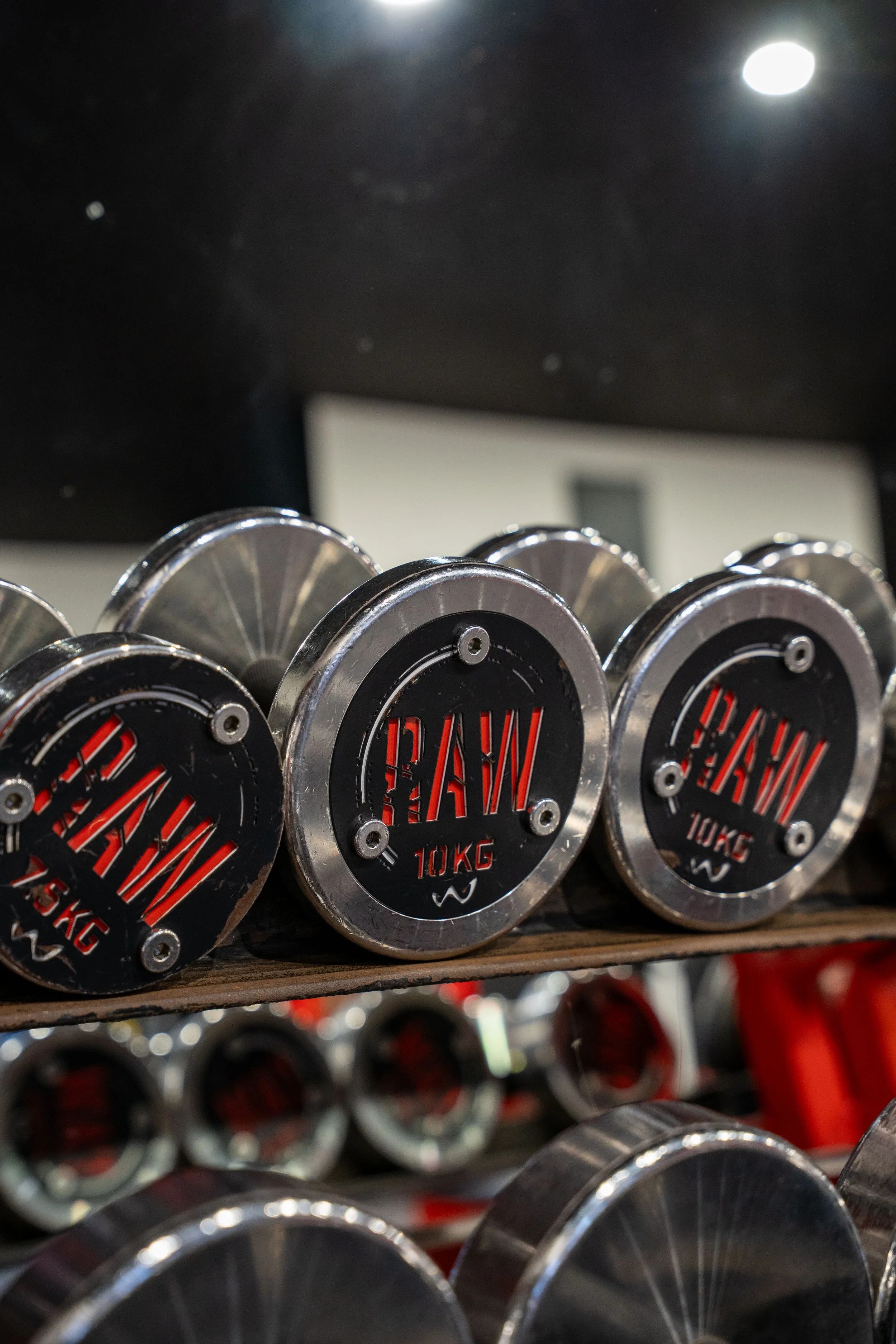 Close-up of multiple 10 kg dumbbells labeled 'PAW' on a gym shelf.
