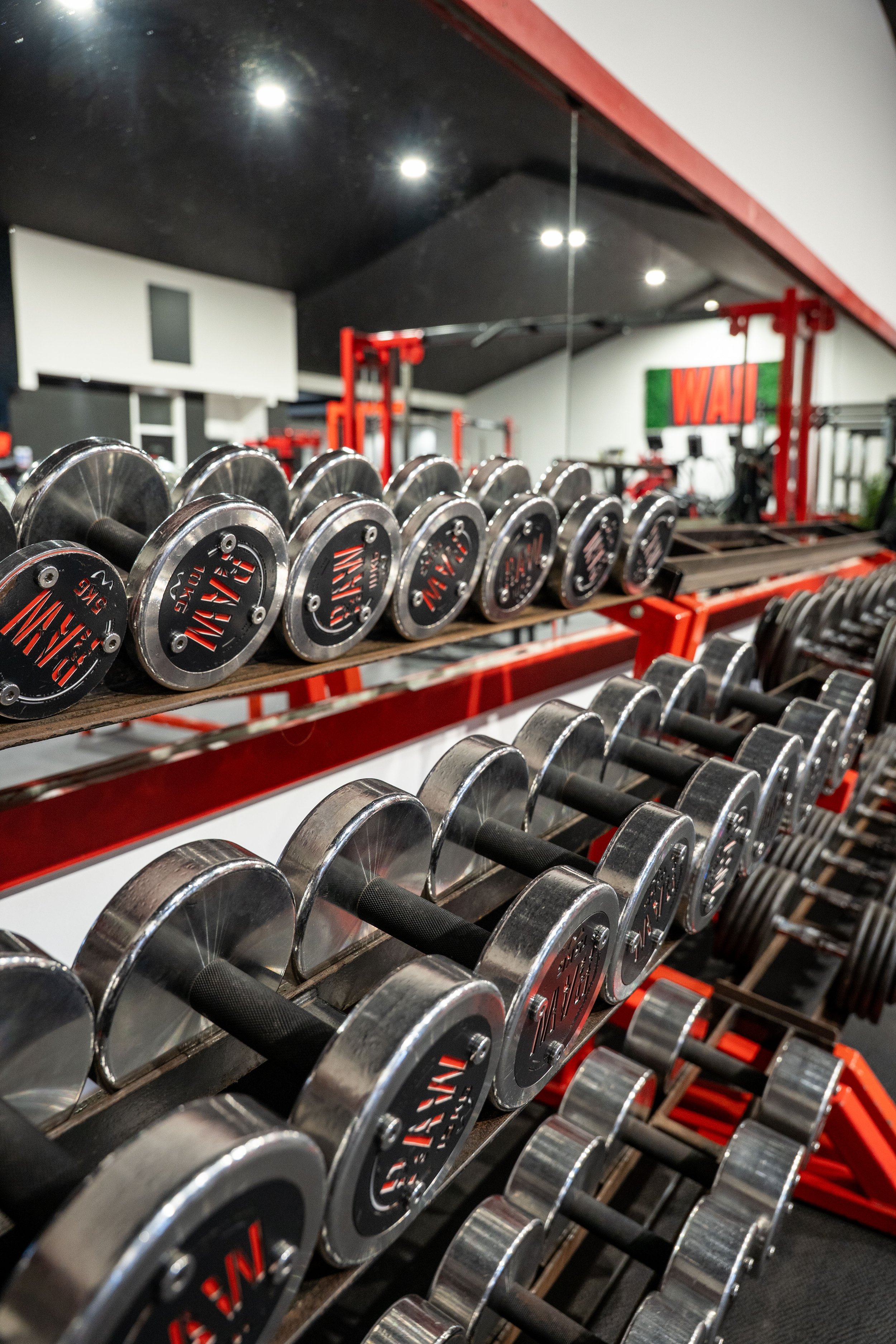 Rows of dumbbells on metal racks inside a gym.