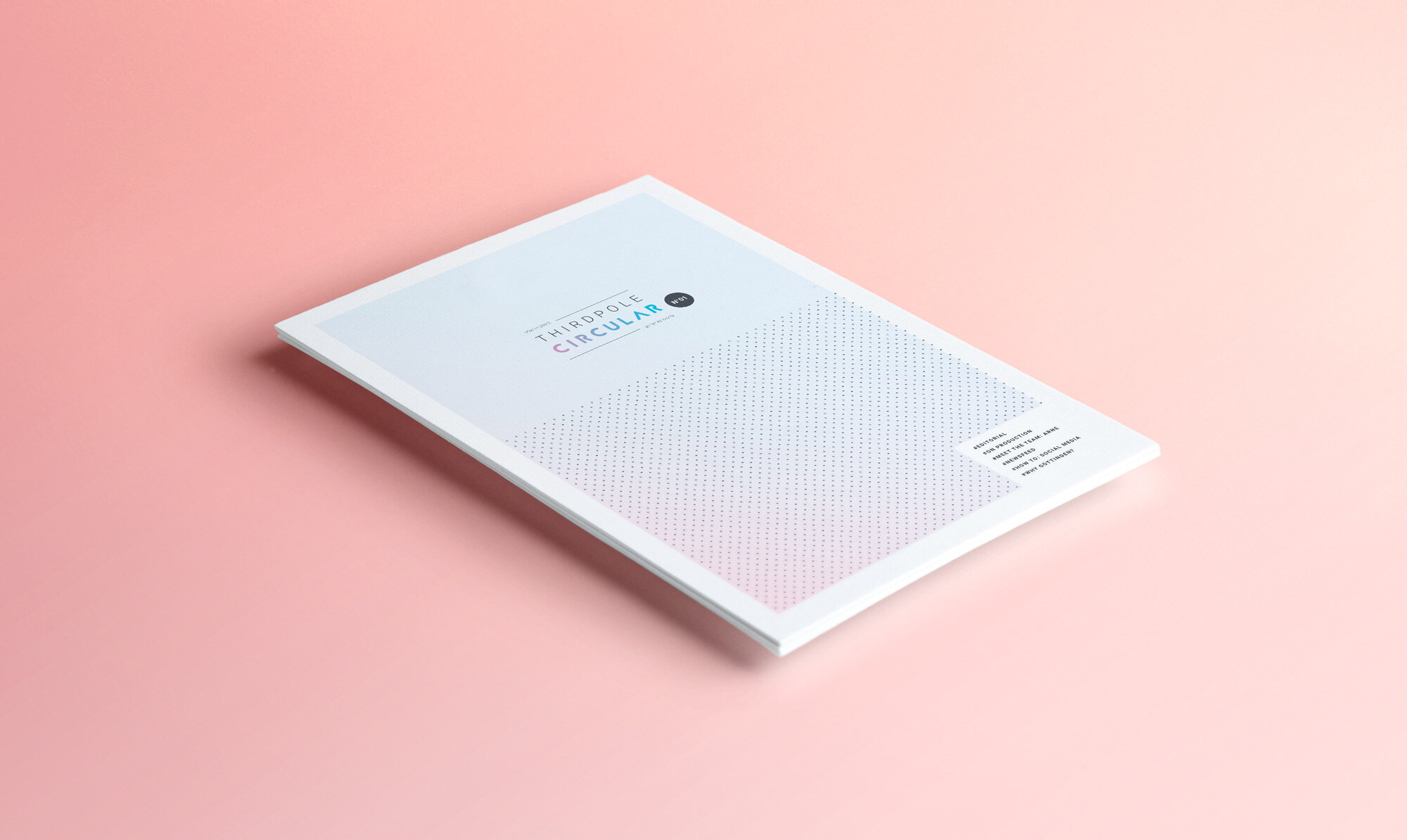 The Circular / Editorial