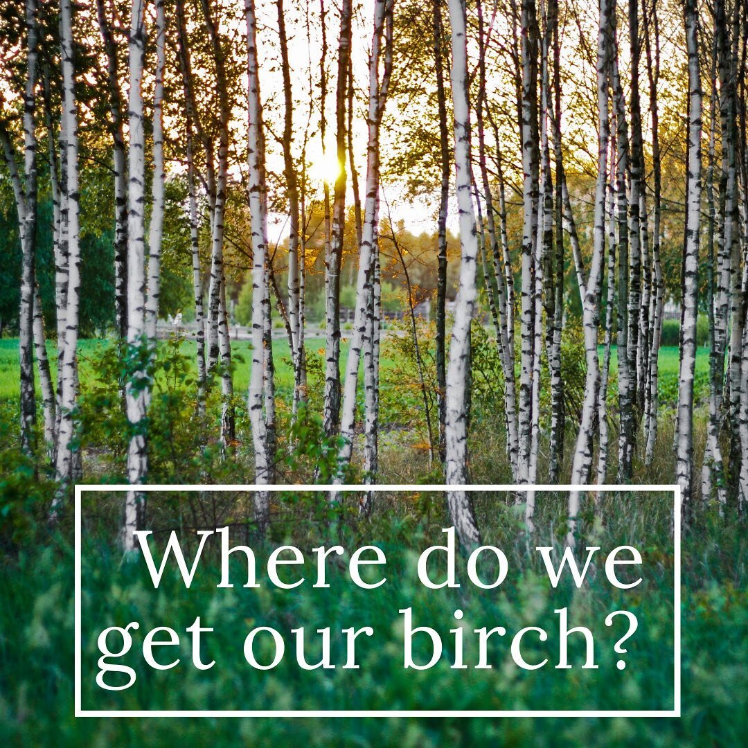 We get this question a lot! Our raw materials are actually up-cycled ♻️ The birch bark we use in our products comes from sustainability harvested trees whose rich triterpene outer bark is a waste stream product of paper production. Instead of paper m