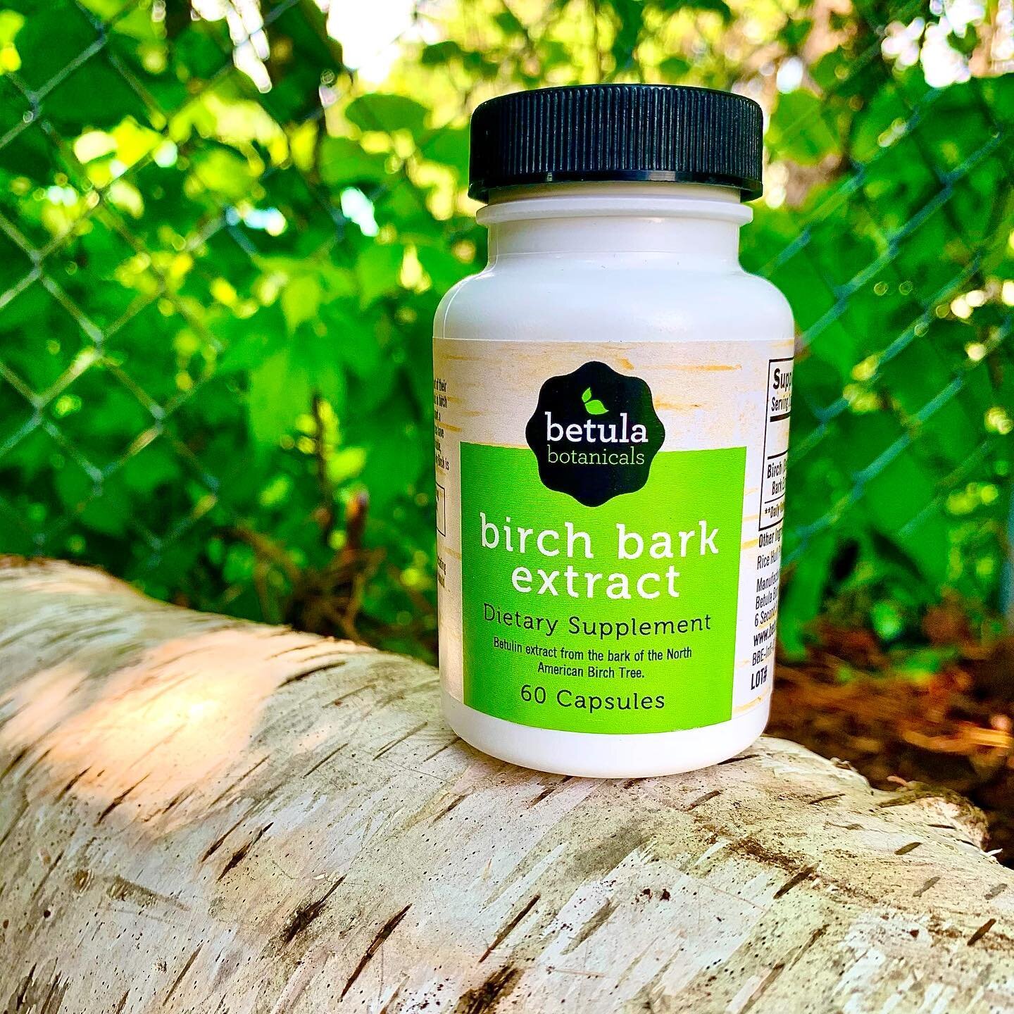All (birch) bark and no bite! These puppies could be the natural answer to stiff joints you&rsquo;ve been begging for. Our birch bark extract capsules are packed with triterpenes extracted directly for US harvested birch trees 🌳