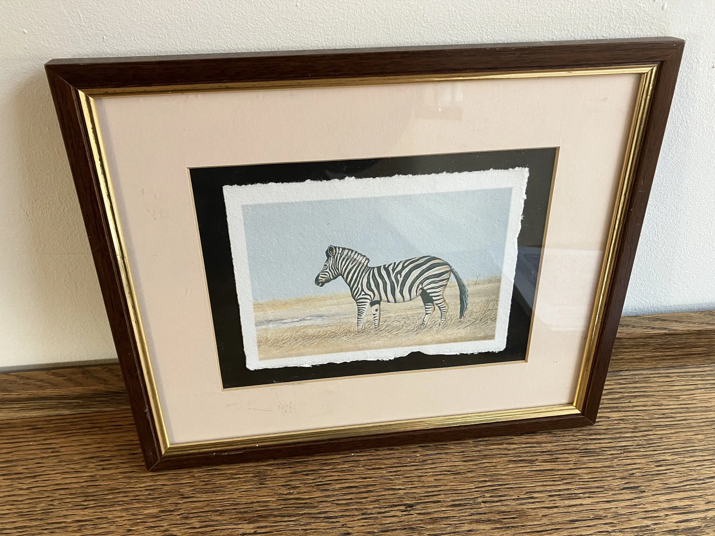 Zebra on the Savannah Framed Print