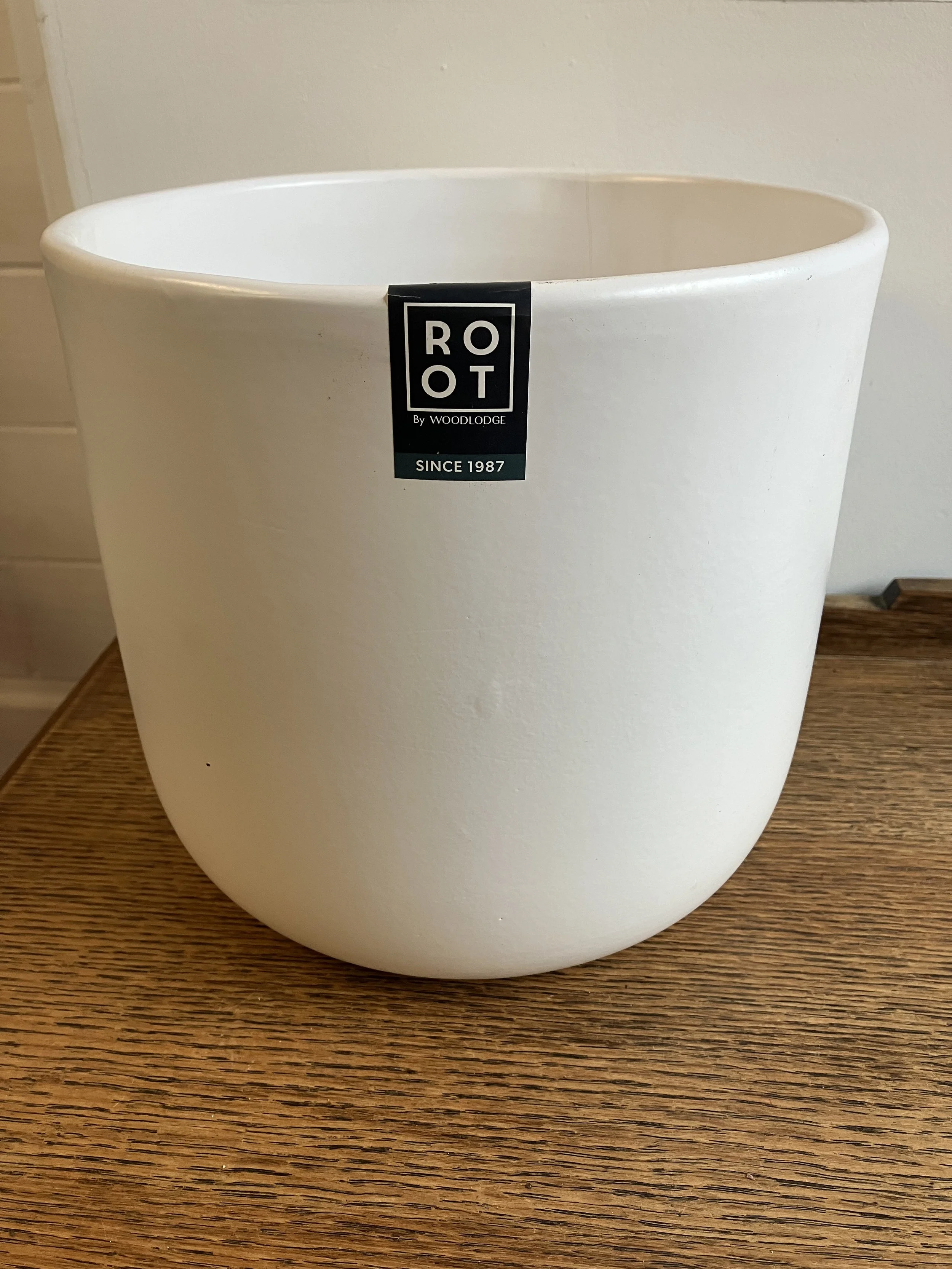 Root Collection White Ceramic Plant Pot by Woodlodge
