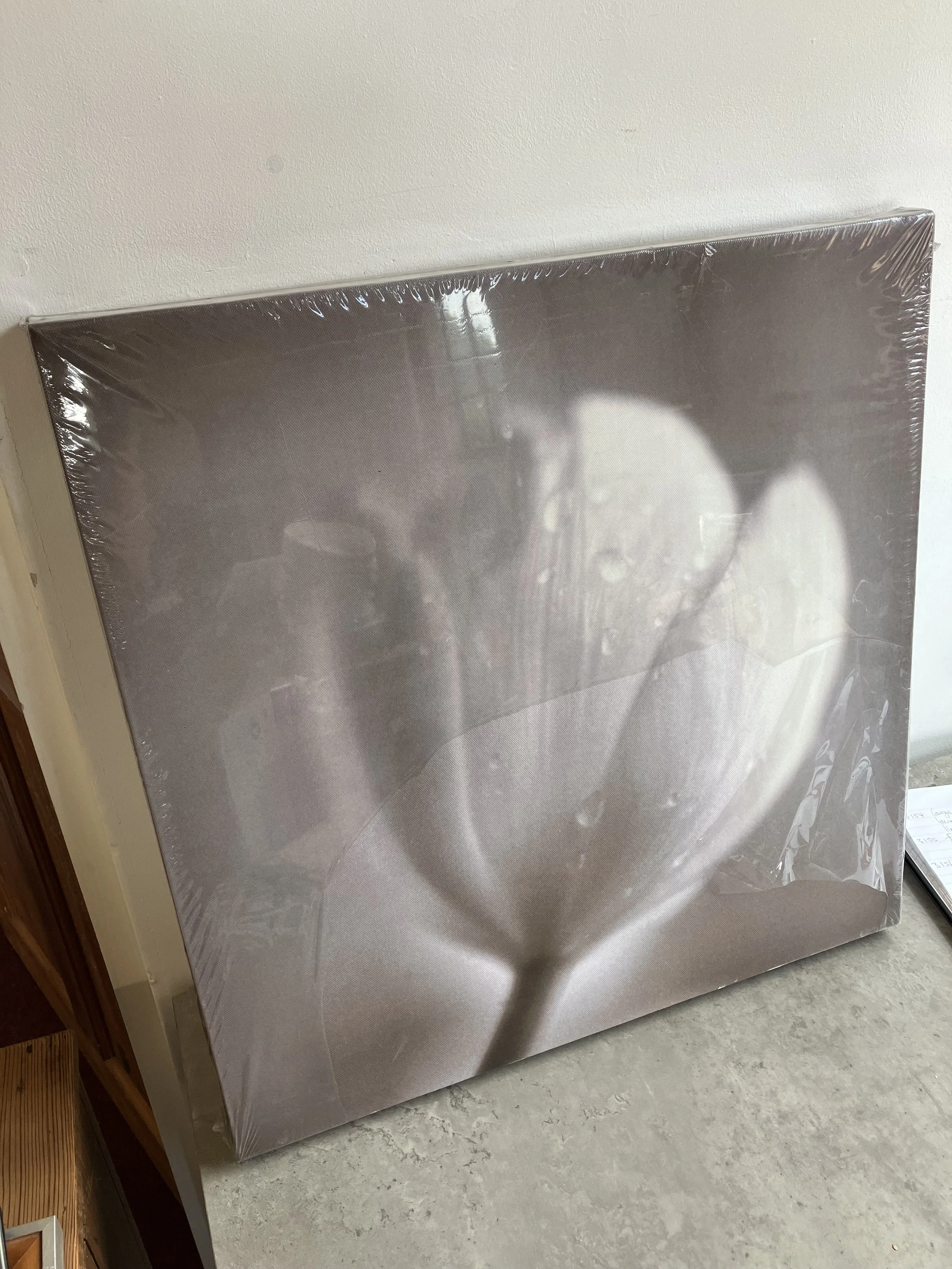 Canvas Wall Art of a Tulip and Water Drops
