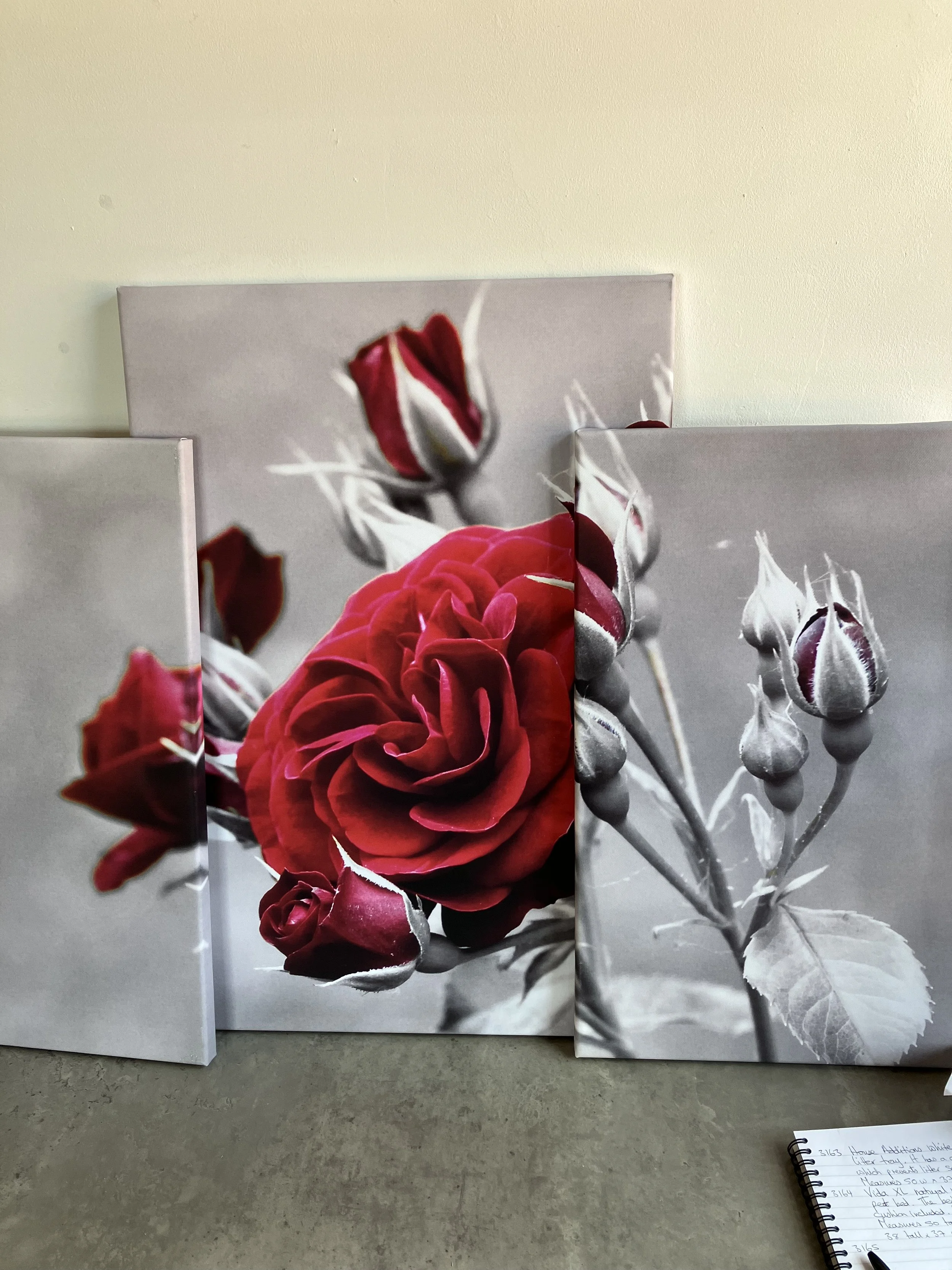 Bilderdepot Multi Panel Canvas Print of Rose