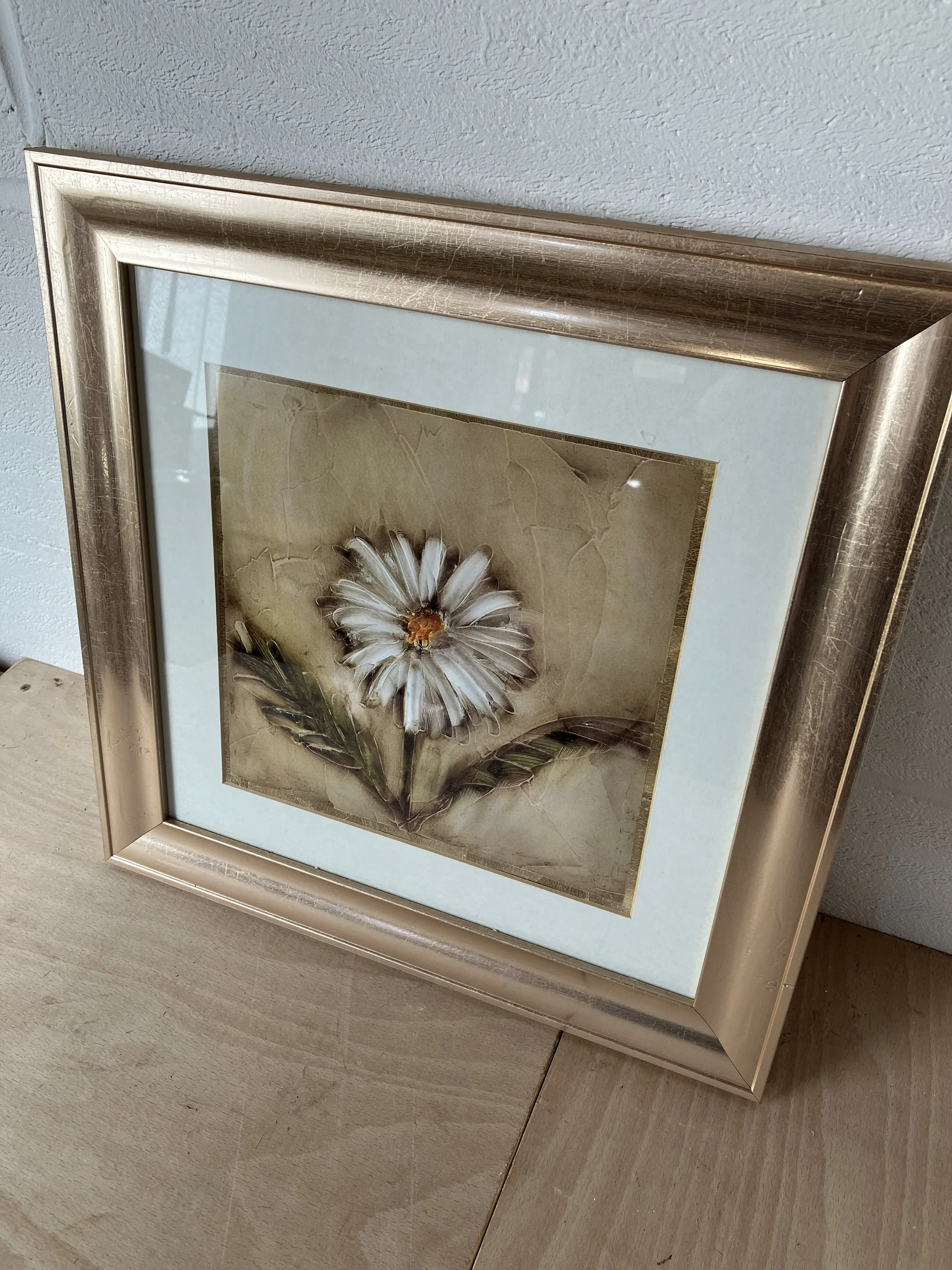 Floral Print of a Daisy in Gold Coloured Frame
