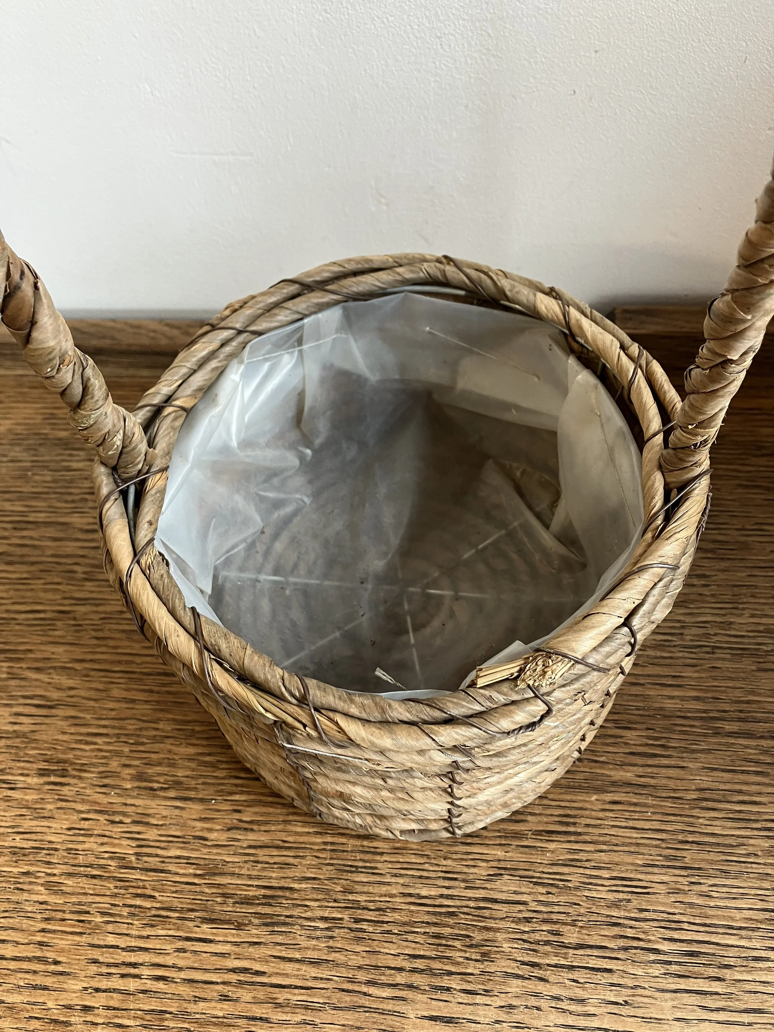 Small Plastic Lined Wicker Plant Pot Holder with Handle