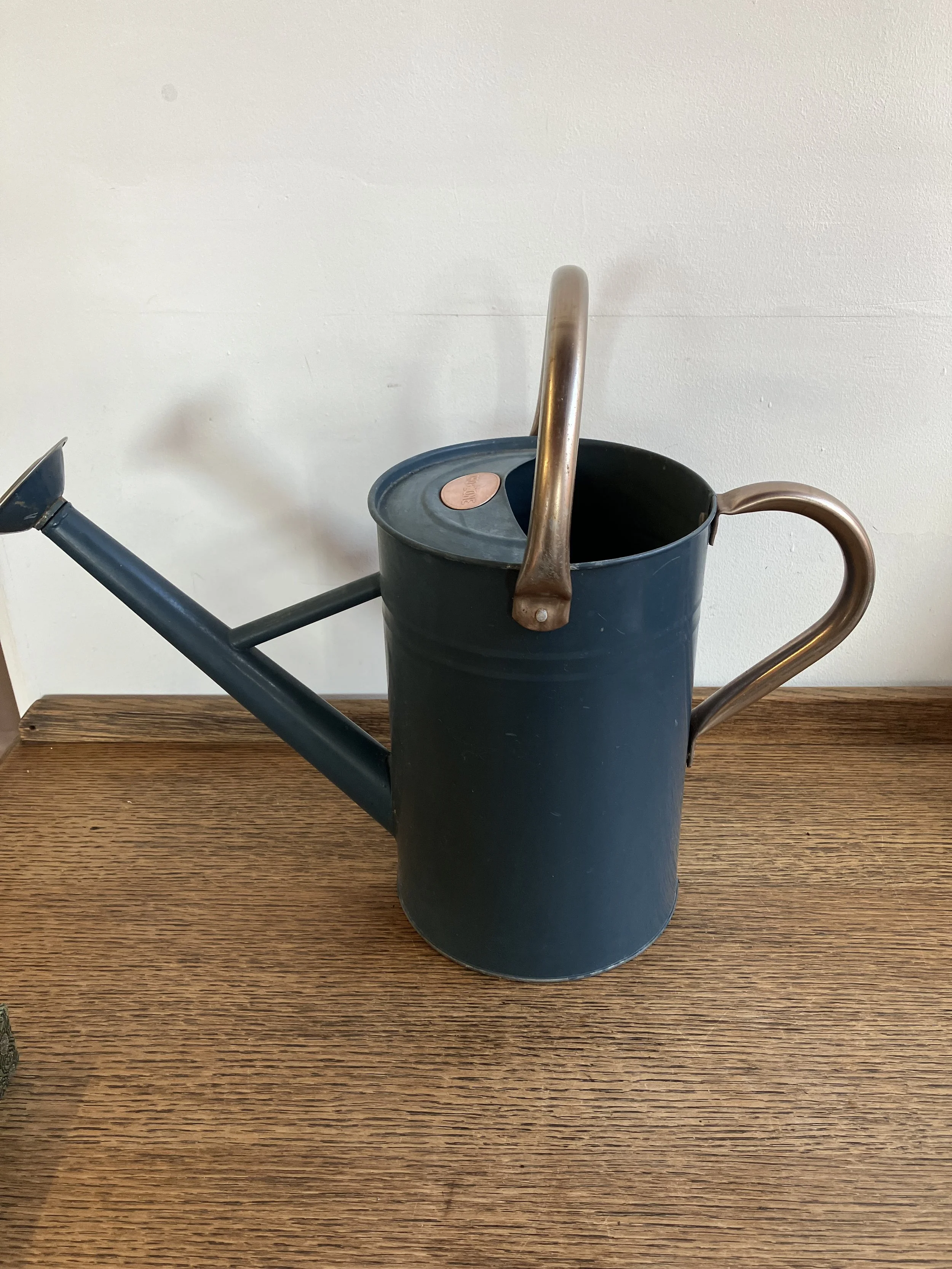 Grozone Teal Blue Metal Watering Can