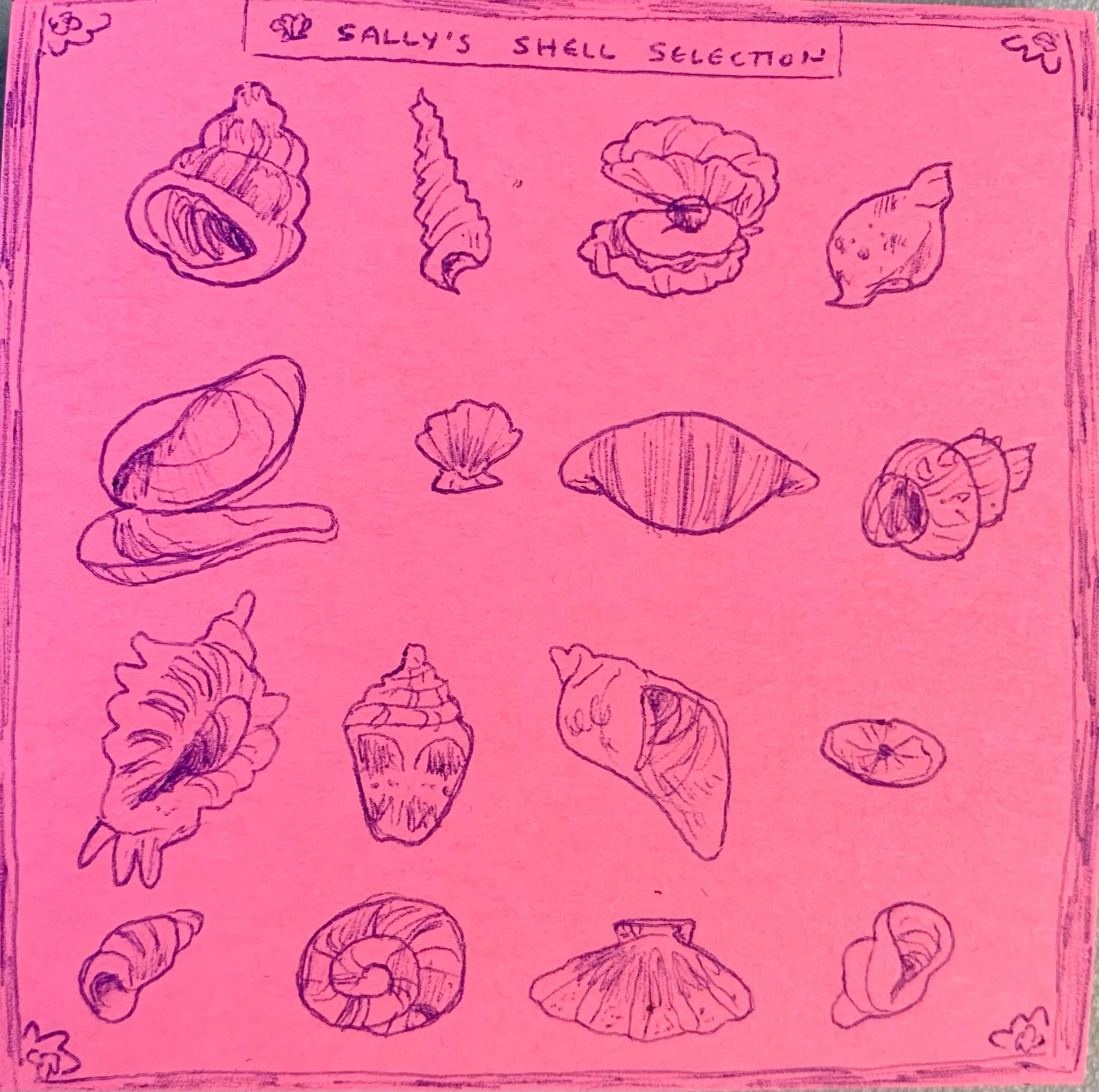 IMG_2582.jpg