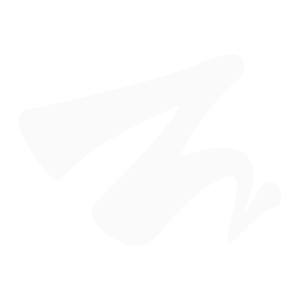 Pegazisk