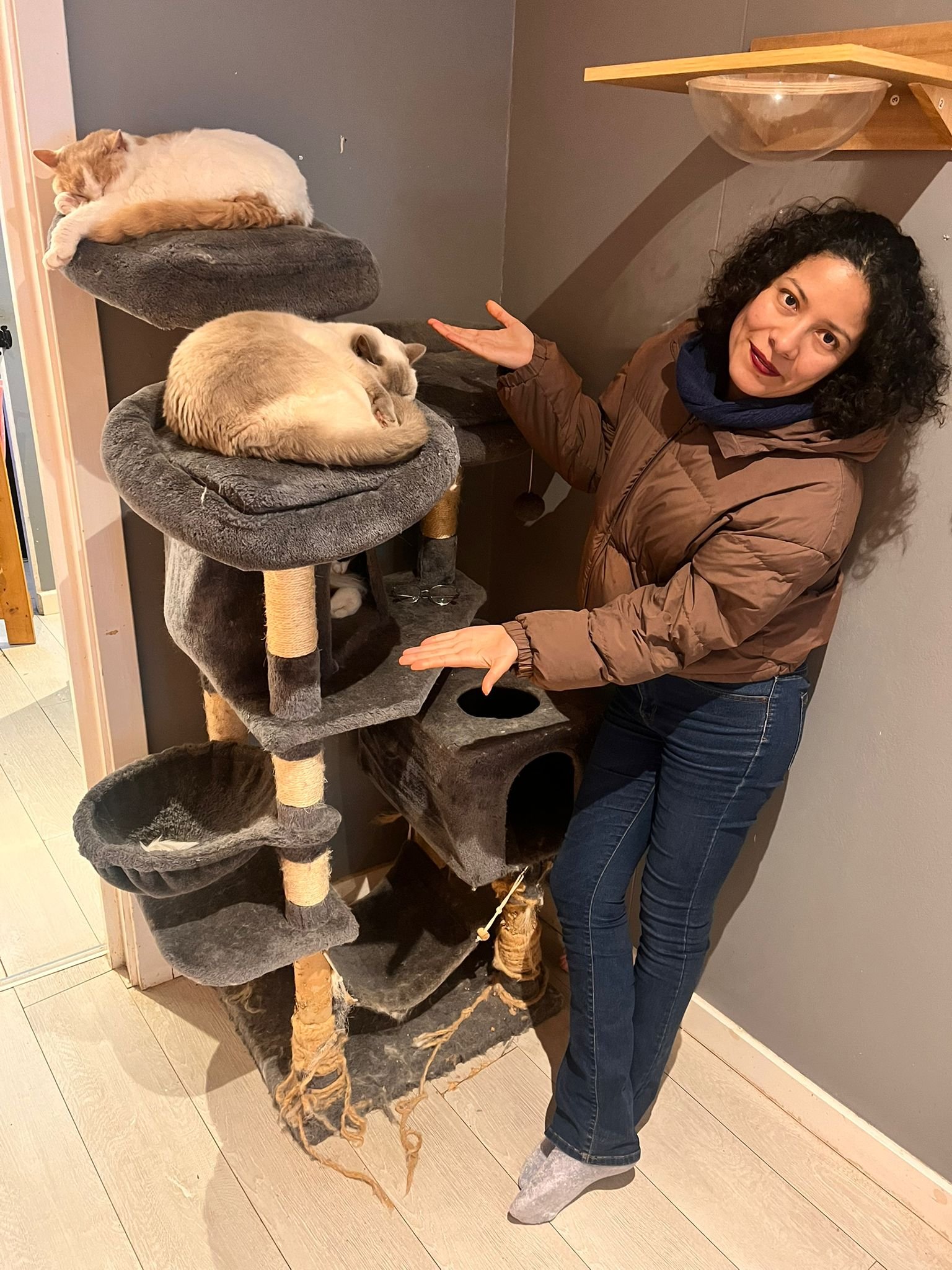 MCR Welfare Trip to the Cat Café