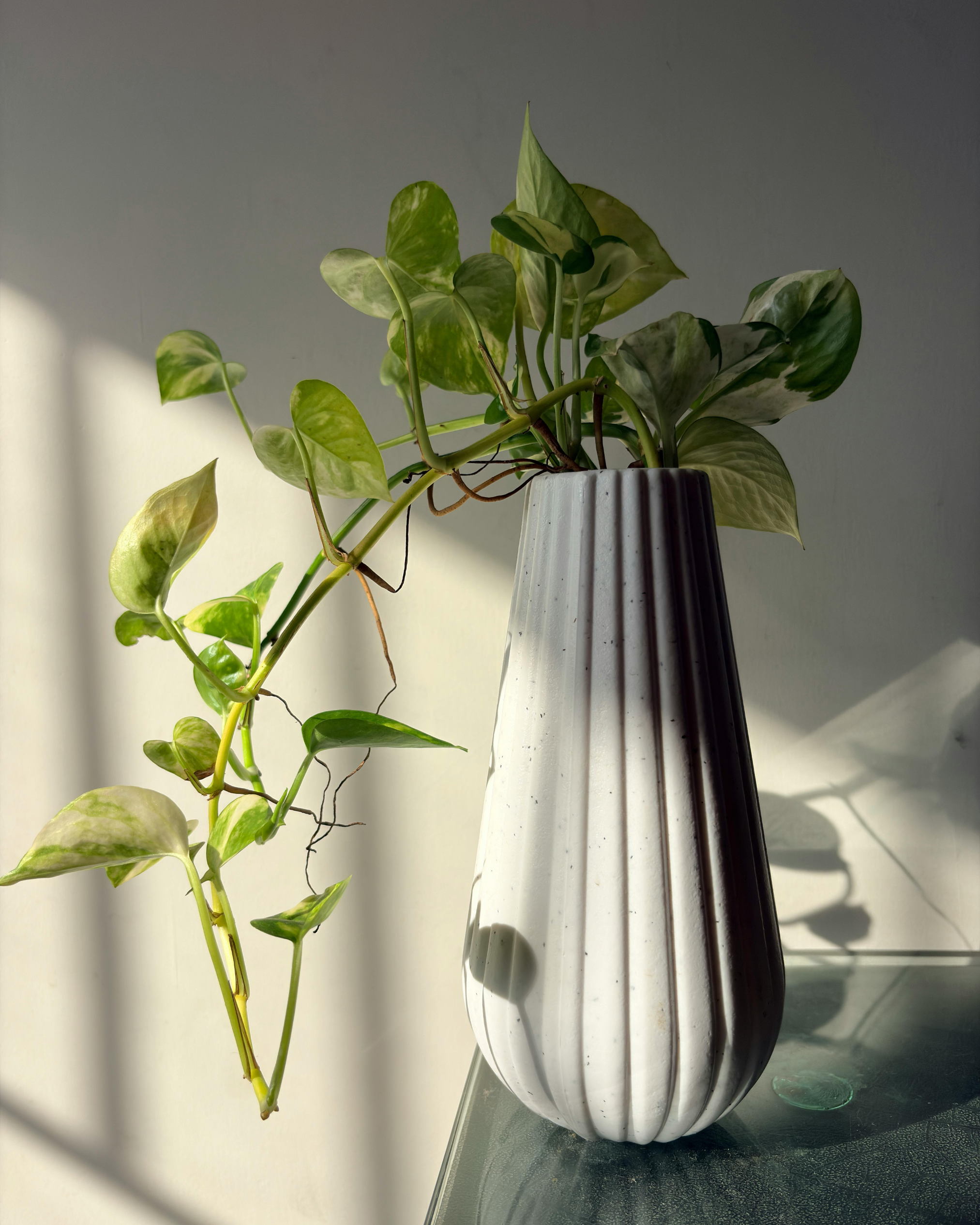 046 it’s a bad feeling, not a bad life