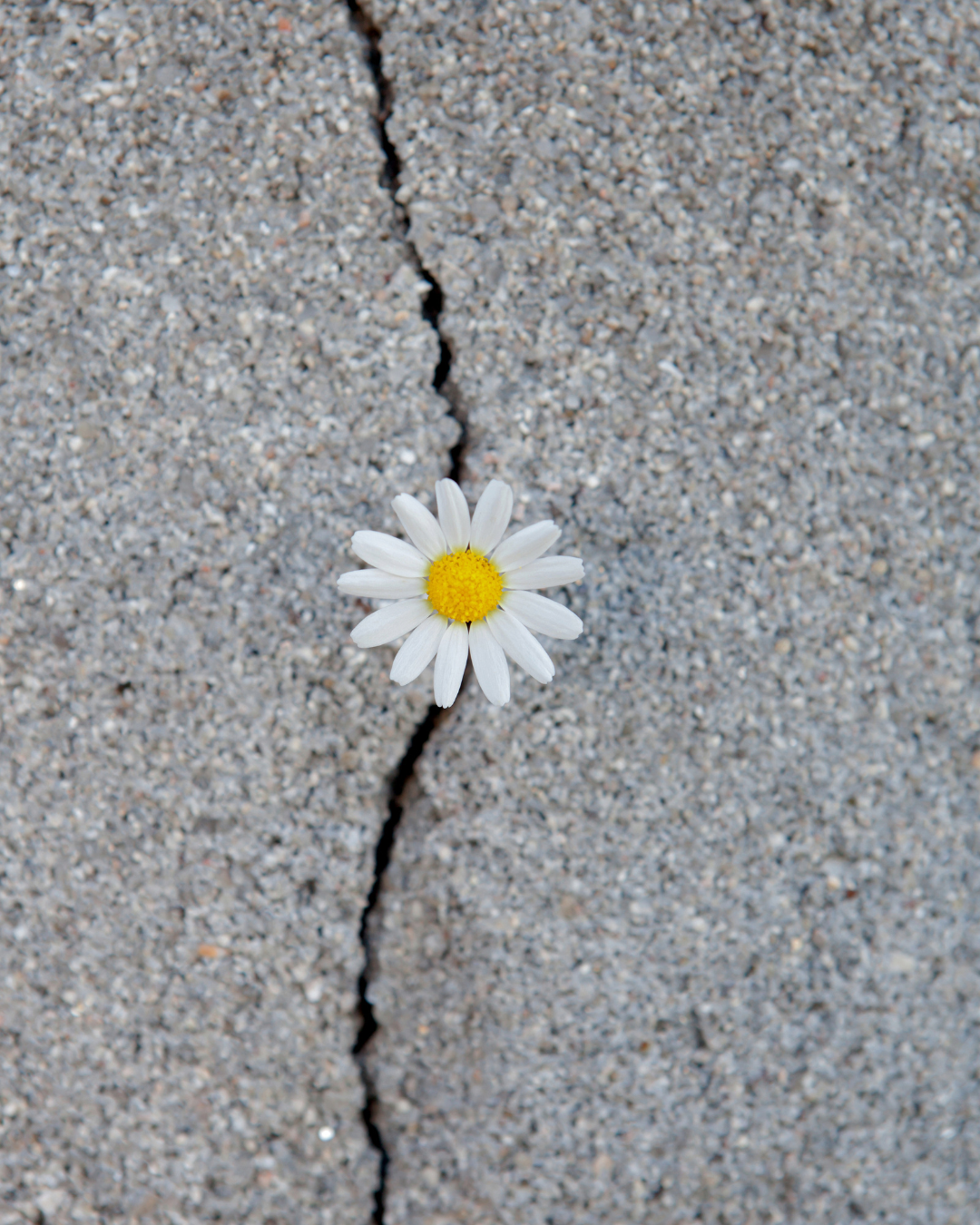052 what grief teaches us about being human