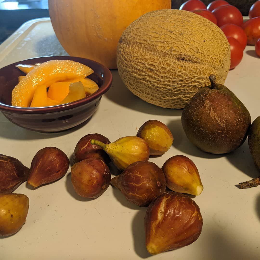 Breakfast from our gardens. #farmfresh #homegrown #homegrownfood #blkeyedsusan #blackeyedsusanflowers