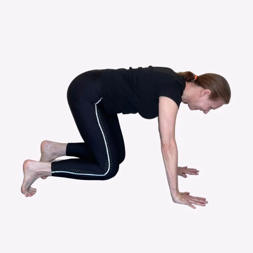 Bear Pose on Hands and Knees