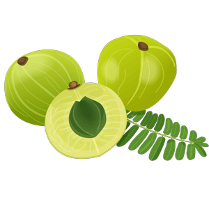 Amla Fruits