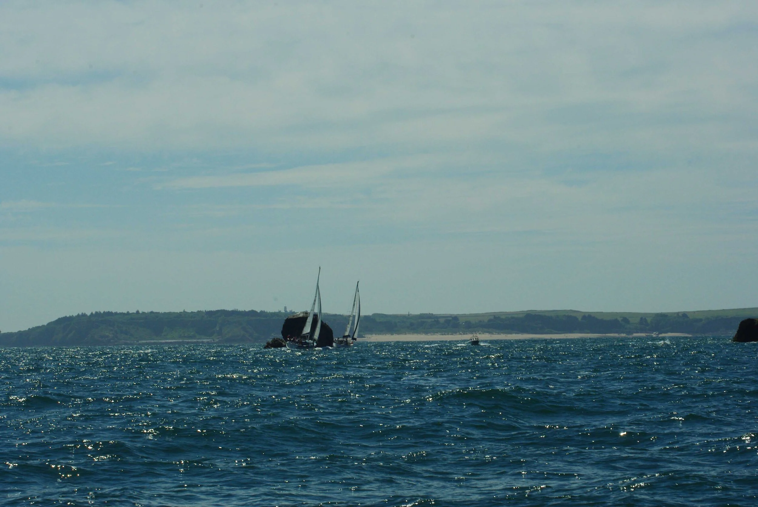 IMGP3454.jpg