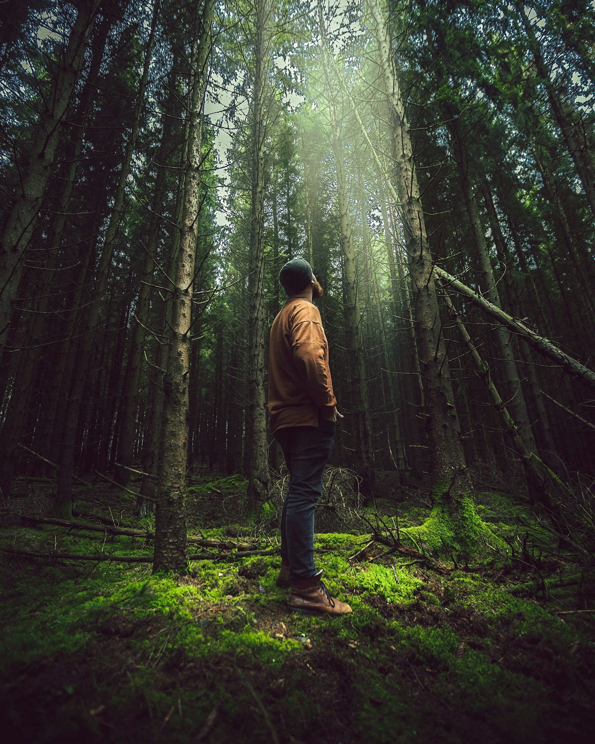 man in woods - seeking guidance and counseling