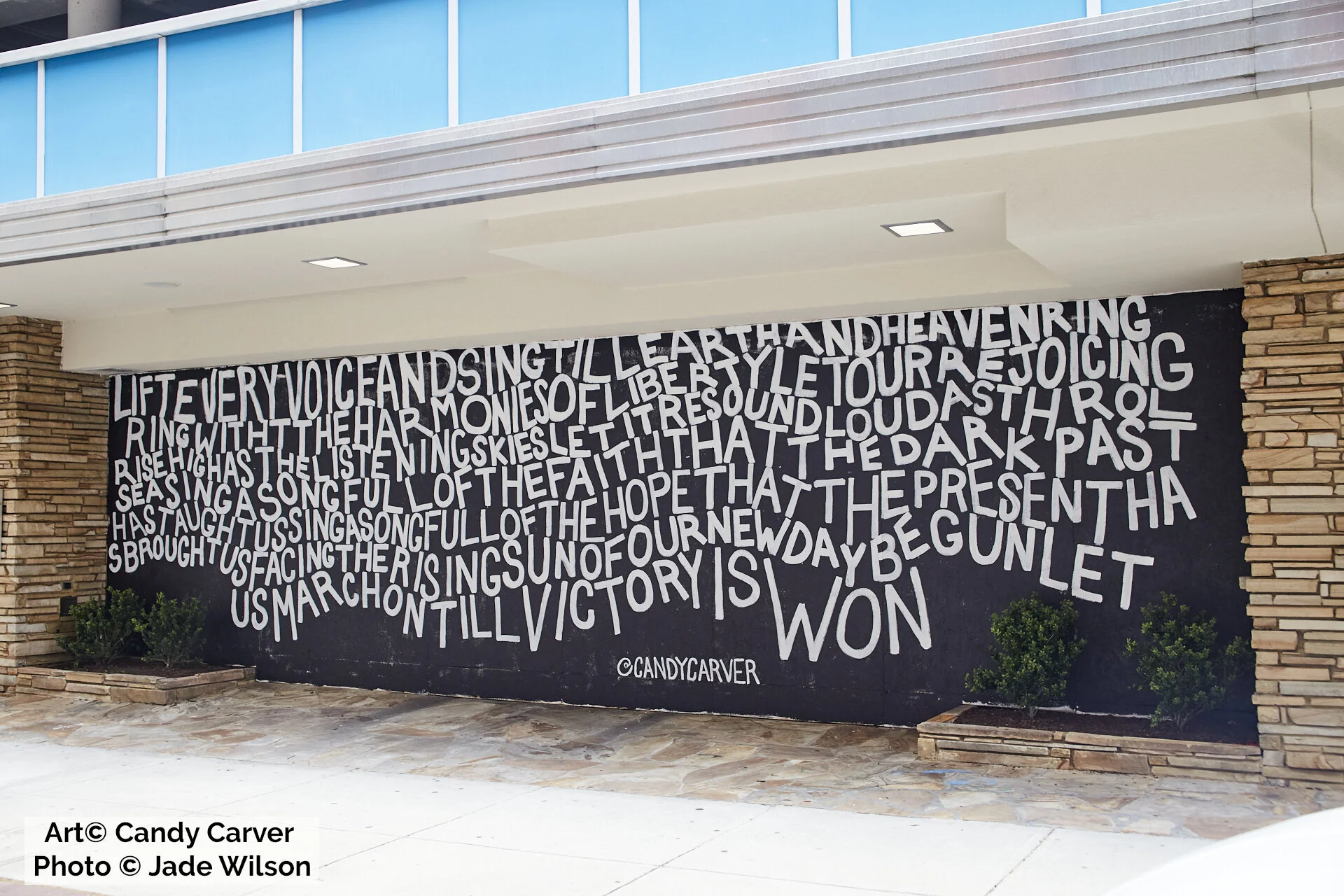 Candy Carver  |  @candycarver  |  Venmo: @candycarver, Cash App: $candycarver1  | 
 candycarver.com