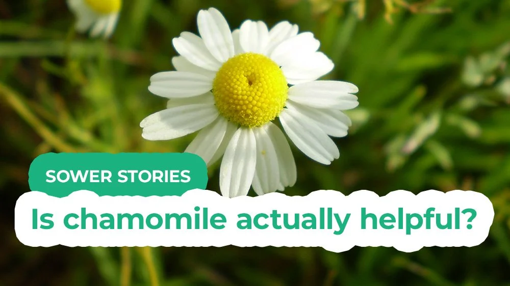 Is chamomile actually helpful?